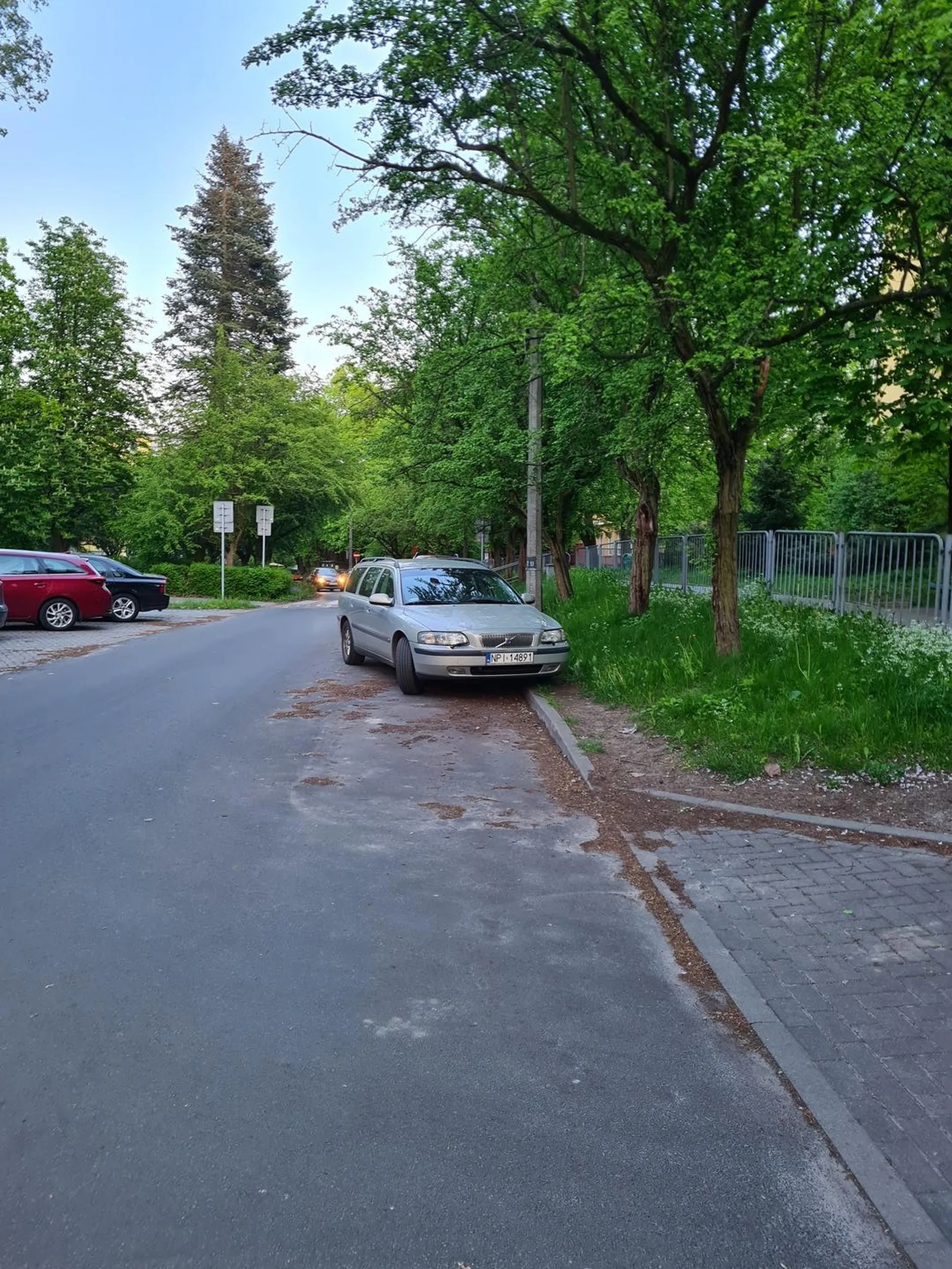 Kobita nie ogarnia parkowania