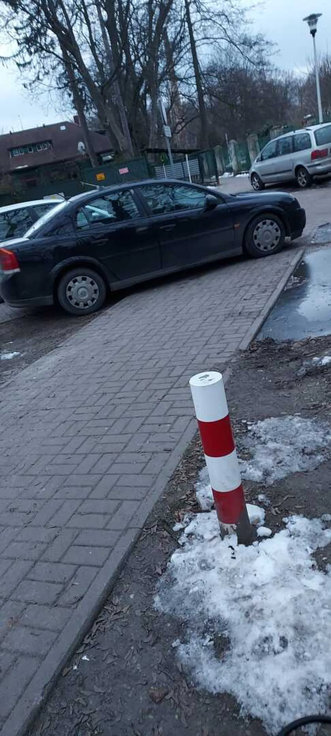 Kierowca parkuje na chodniku jak "święta krowa"