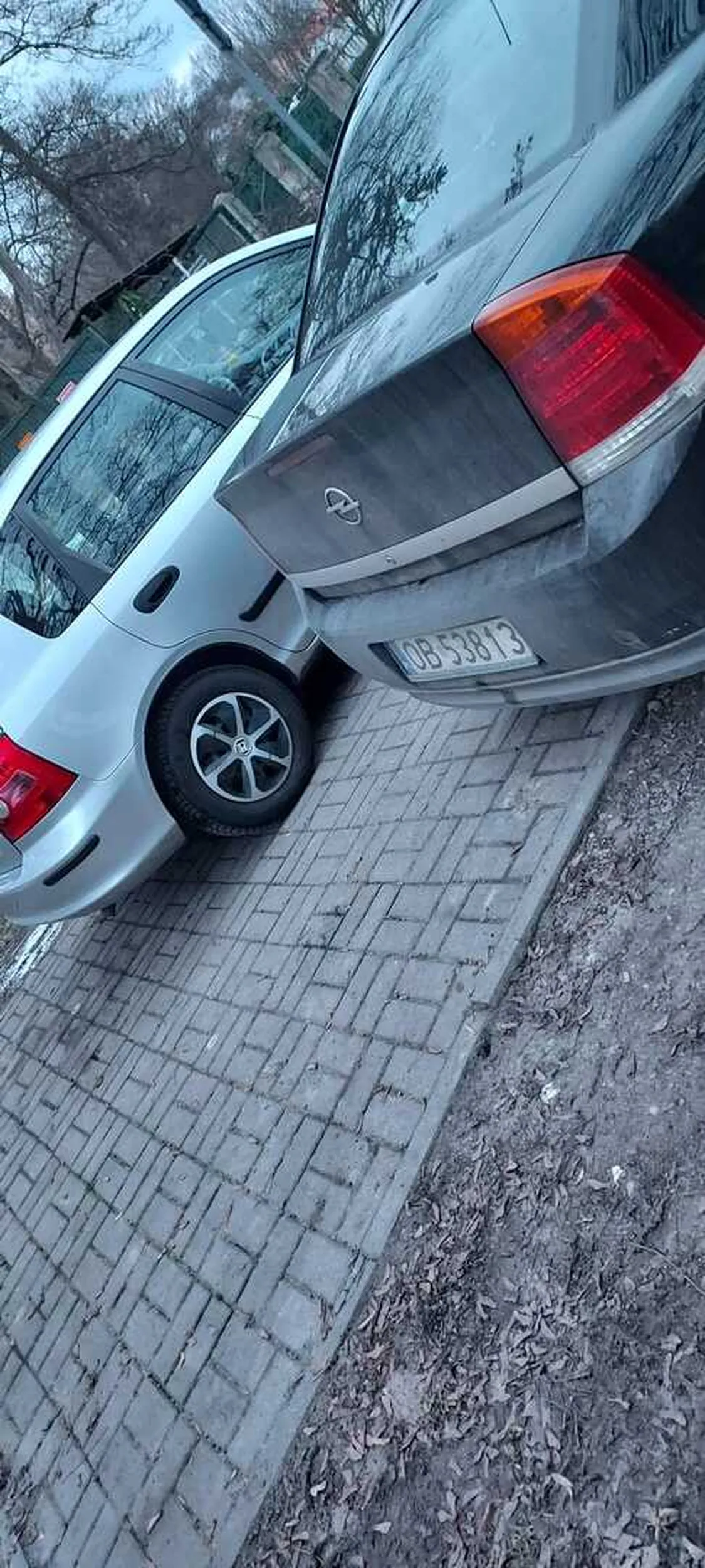 Kierowca parkuje na chodniku jak "święta krowa"