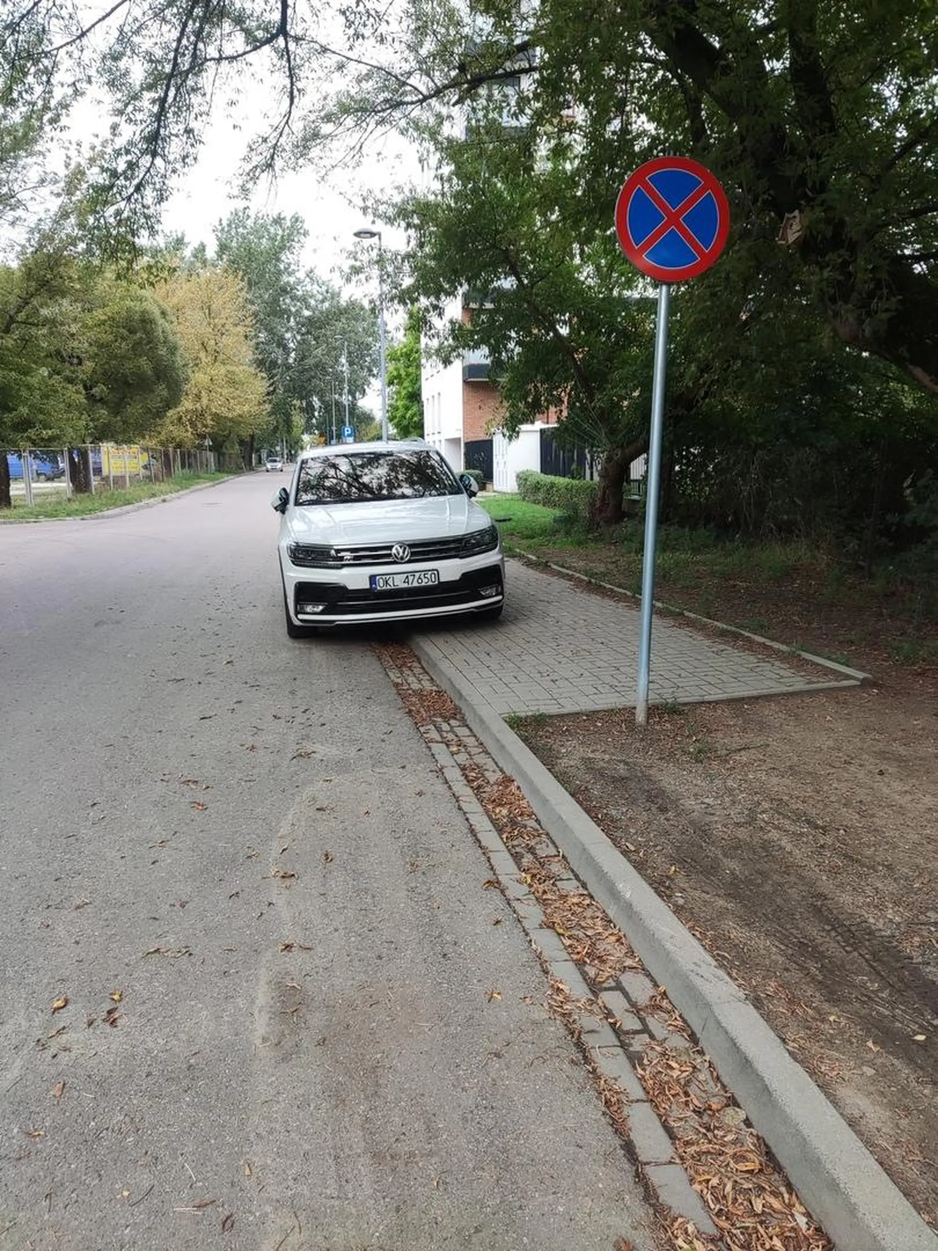 Fajne miejsce parkingowe sobie uczyniłeś z tego chodnika. Polecam wizytę u okulisty ślepaku
