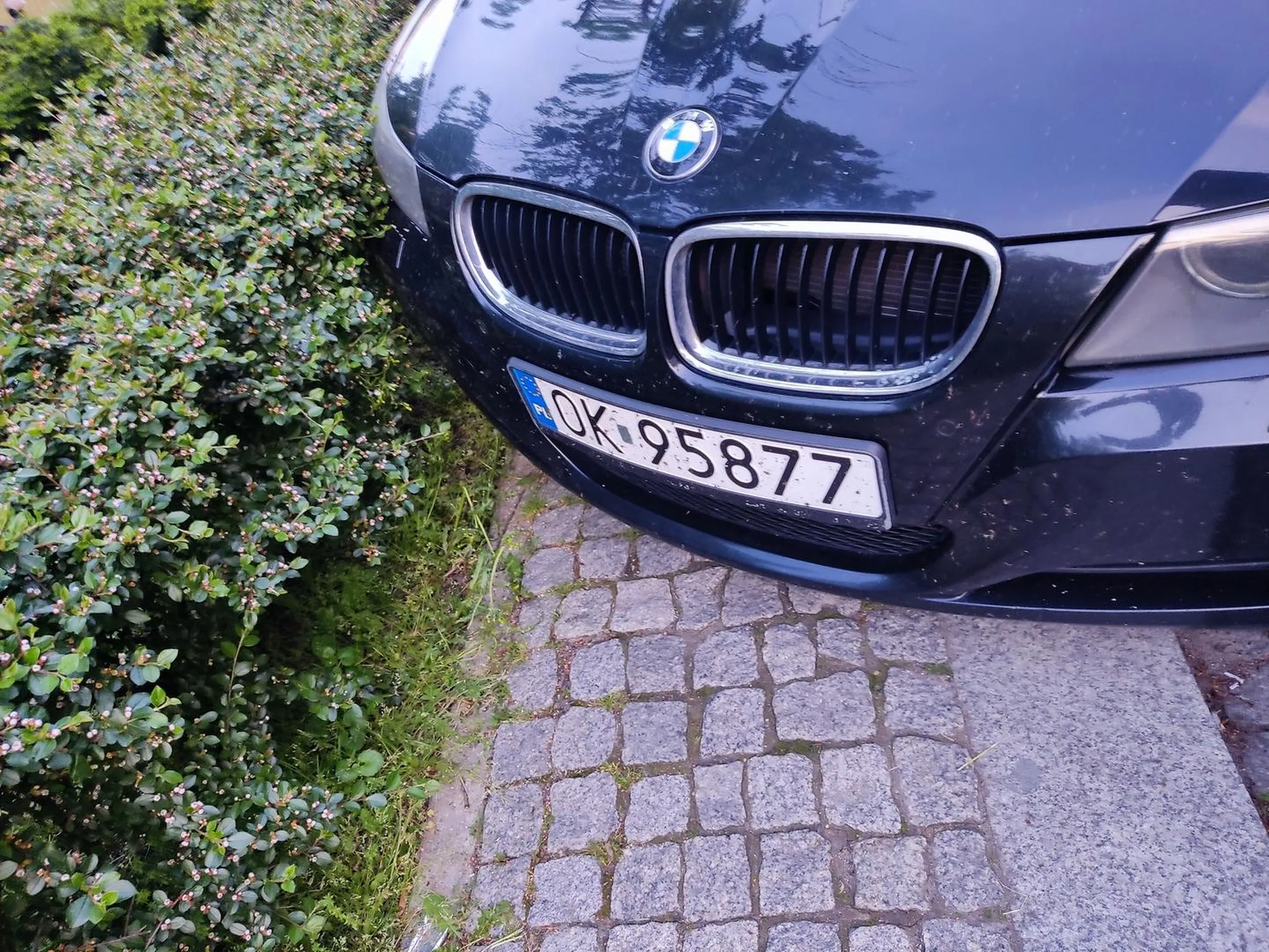 Blokuje całe przejście dla pieszych.