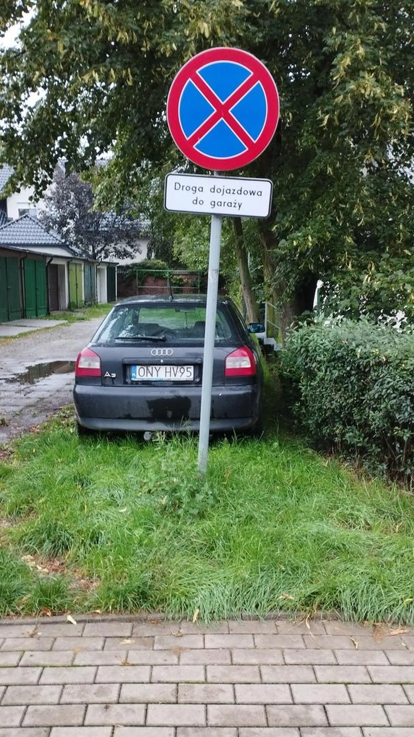 Mistrzu znajomości znaków.