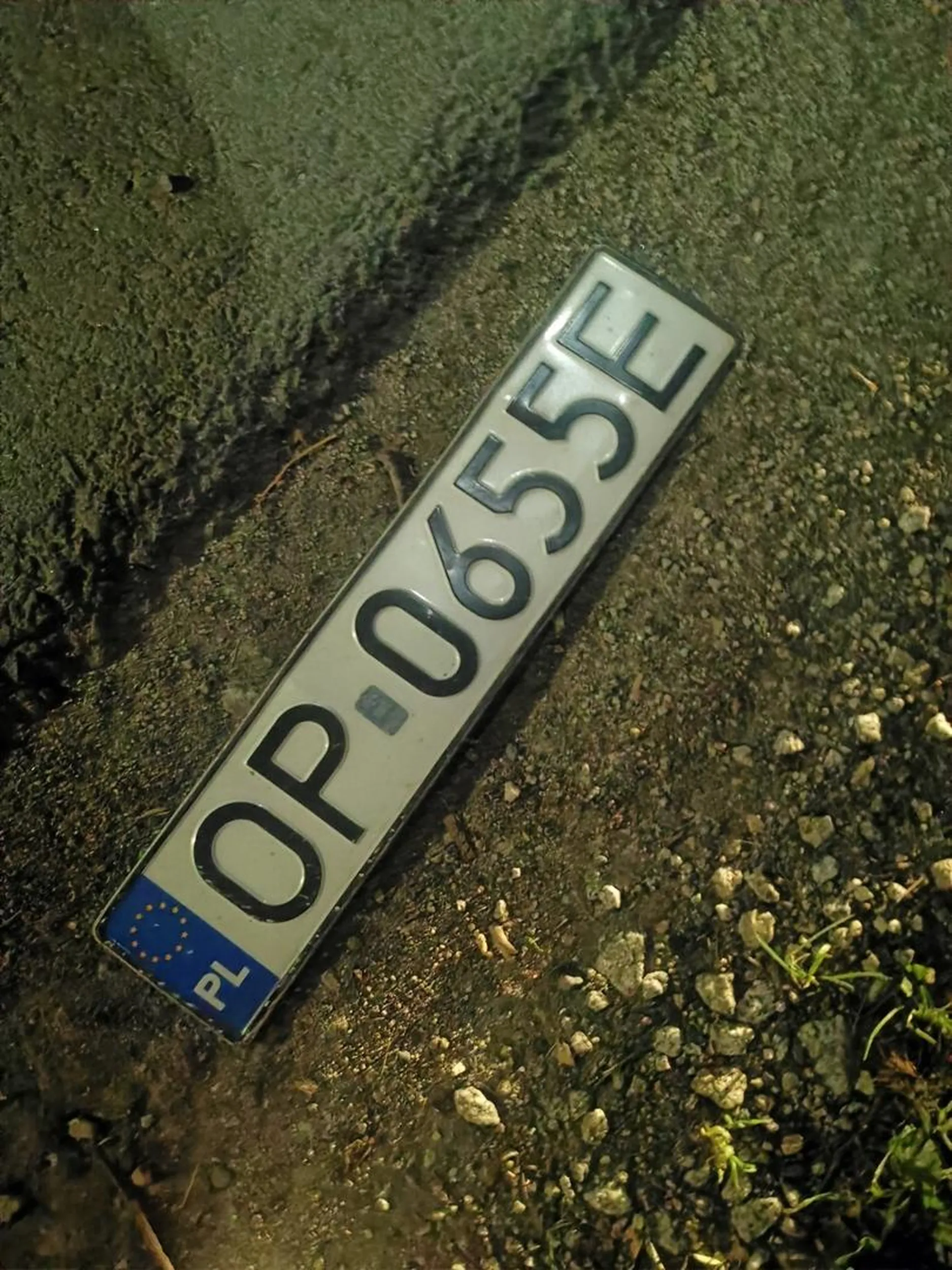 Potrącił sarnę, nie zatrzymał się, nie wezwał pomocy. Zgubił przy tym tablice. Sarna jeszcze żyła...