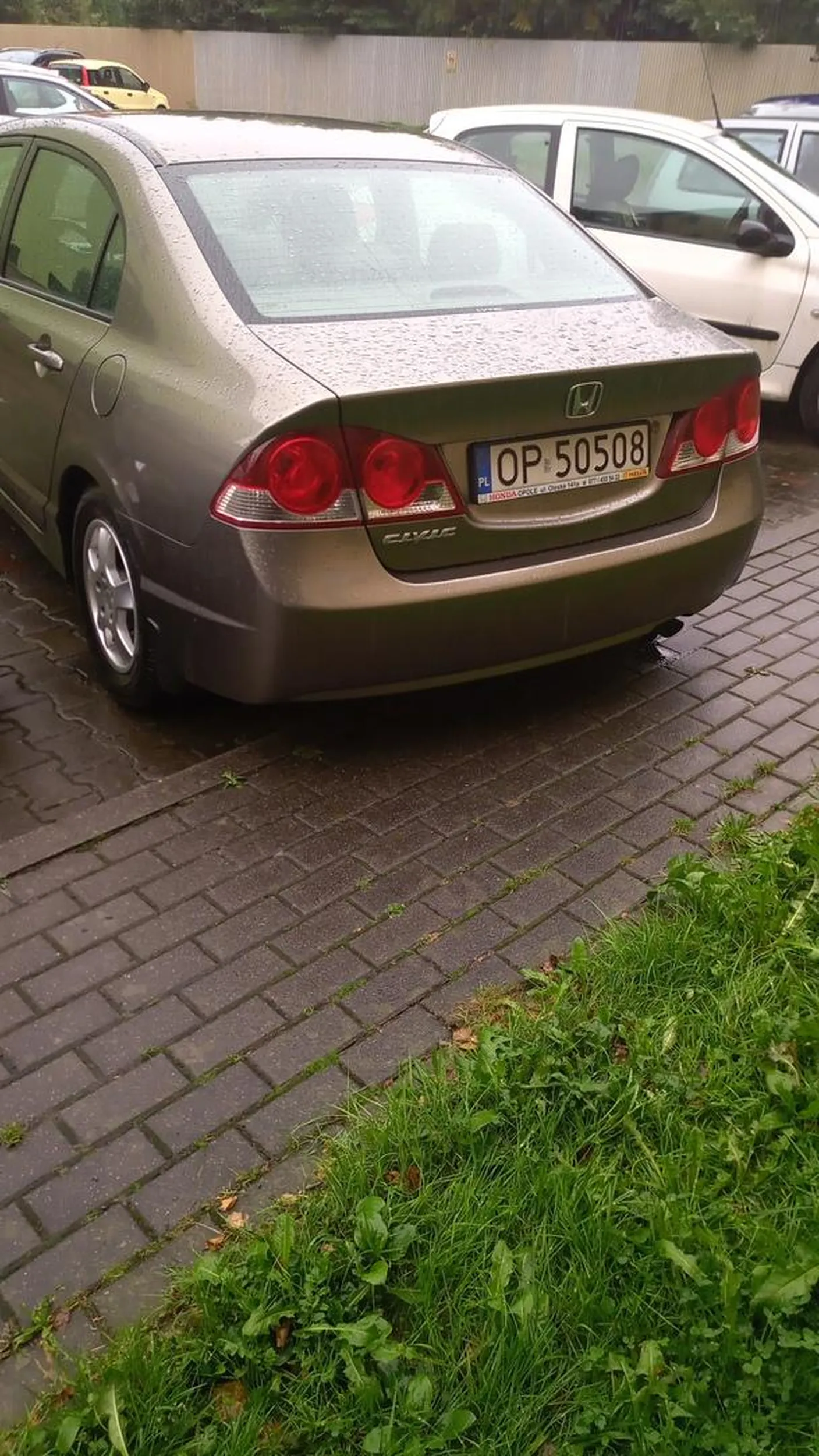 Cała masa kierowcy z mózgu przeszła do brzucha, parkuje gorzej niż niejedna Karen.