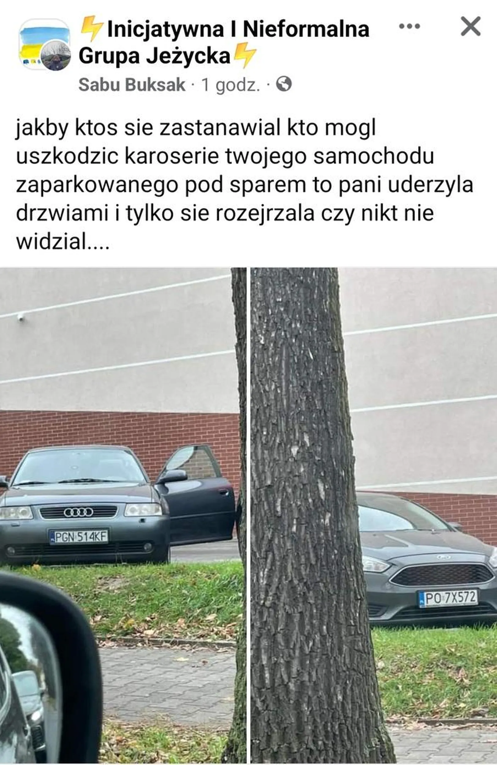 Buractwo. Opis na zdjeciach
