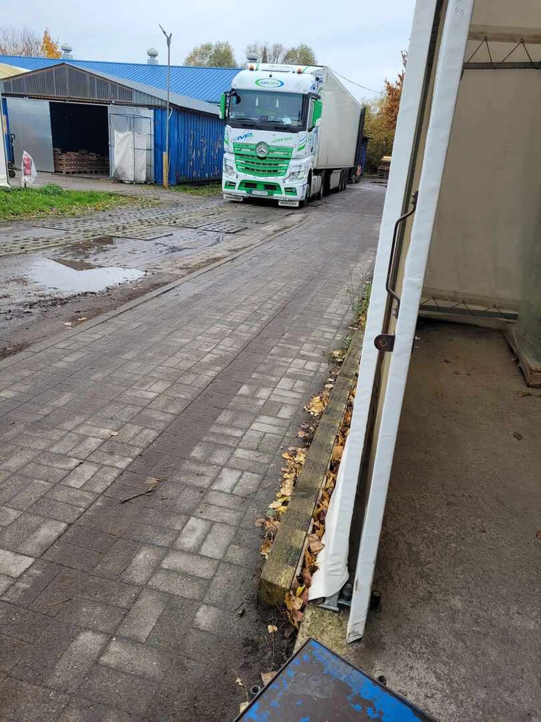 Piękny Actrosik!!! Kierowco, byłeś dzisiaj(03.11.2023) na rozładunku na hurtownii Elte w Kołbaczu. Masz piękne auto!!! Tak ładnego projectu na bazie Actrosa MP4 na żywo jeszcze nie widziałem :)