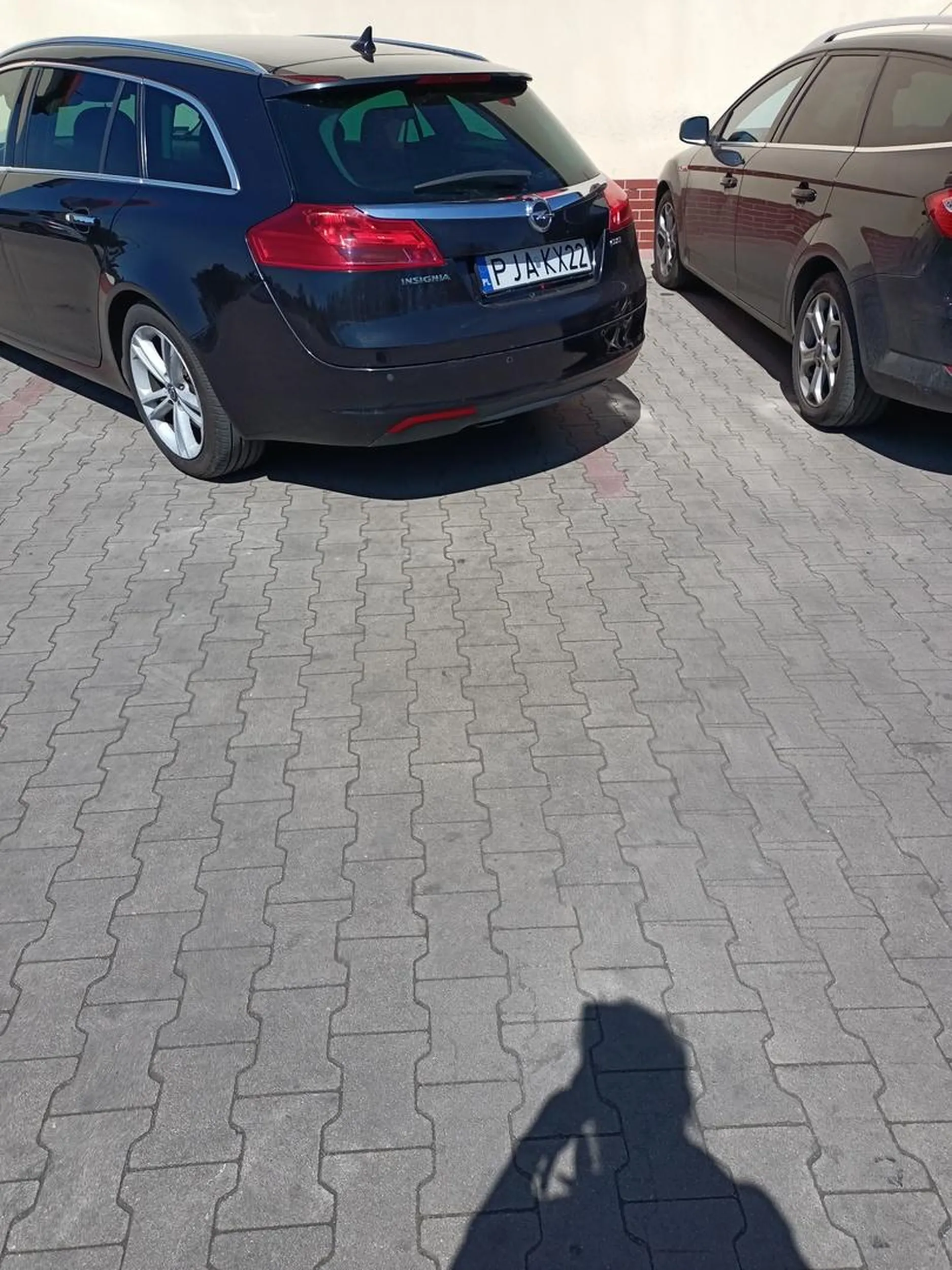 Mistrzyni parkowania