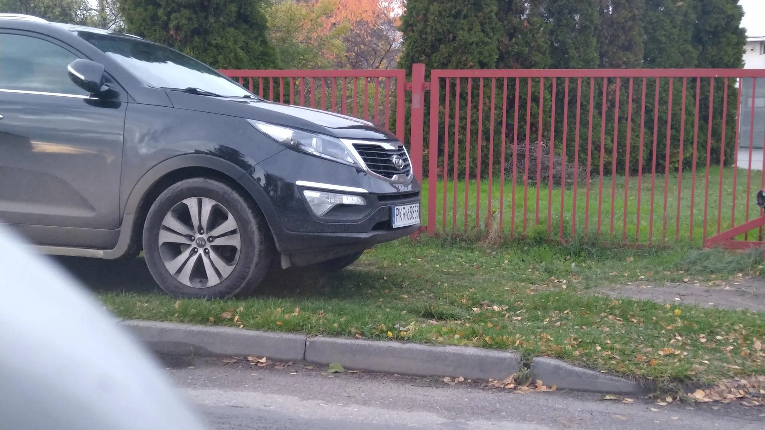 Nie ma miejsca zaraz przy wejściu do lekarza. Jak to nie, przecież jest taki ładny trawnik to można zaparkować.