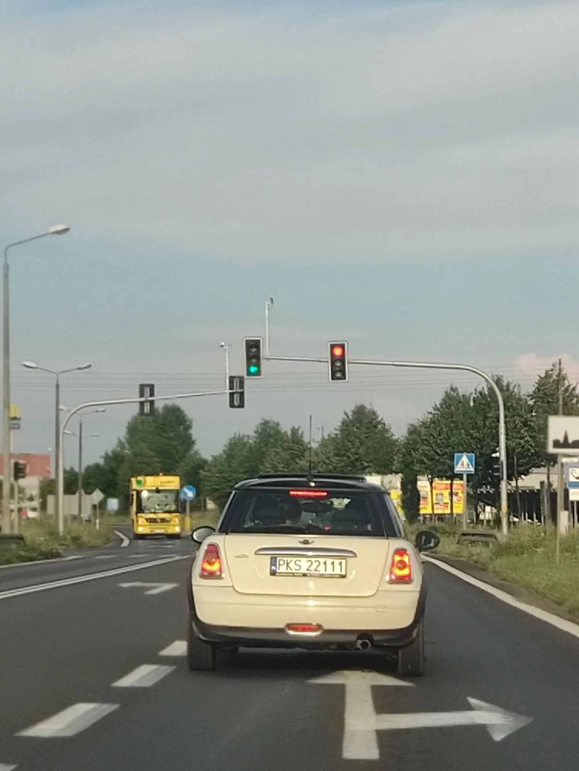 Potrącił psa i uciekł z miejsca wypadku