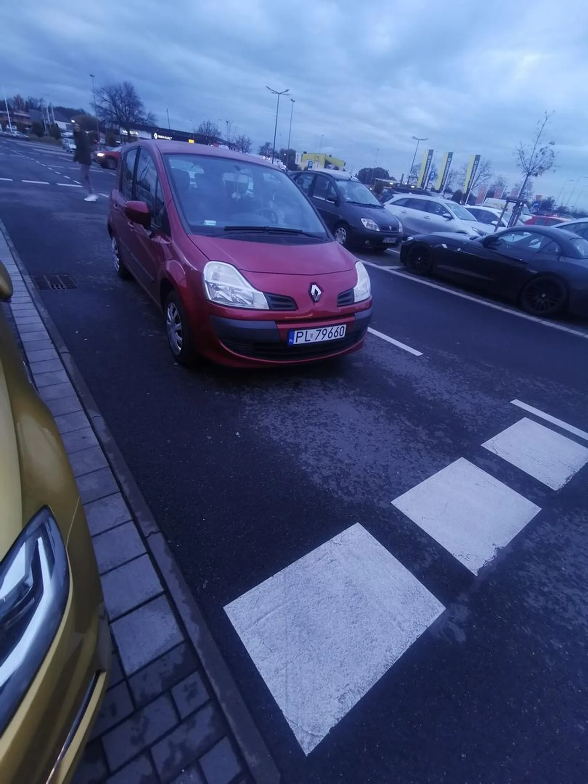 Mistrz parkowania w Lesznie koło oni