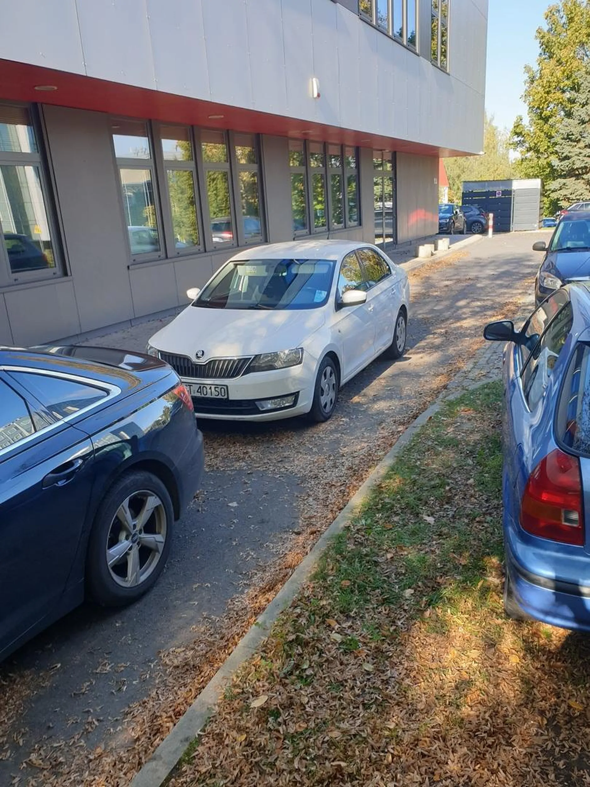 kierowca niepełnosprawny, ale sprawny by zastawić dwa samochody