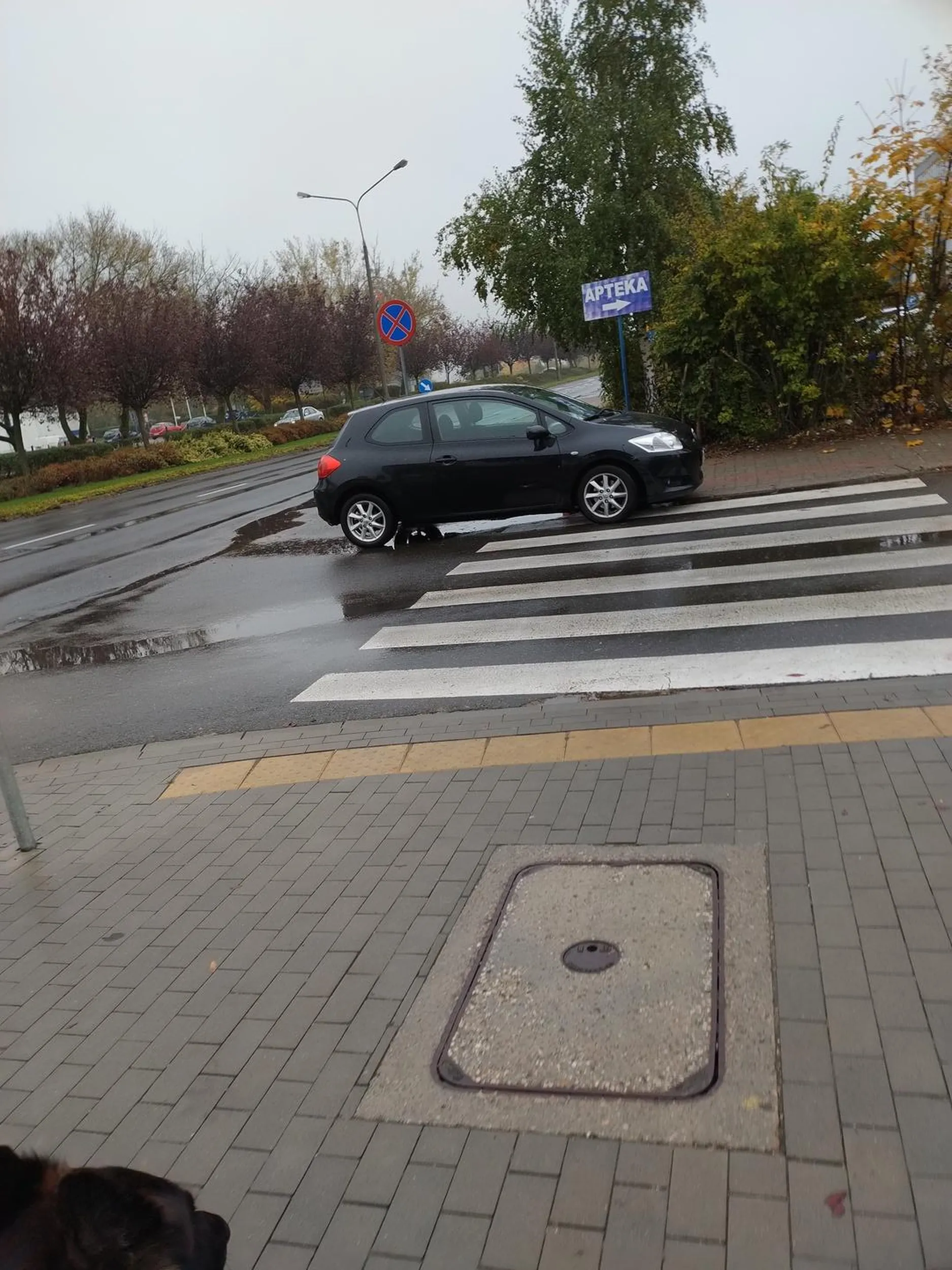 Perfekcyjne parkowanie...