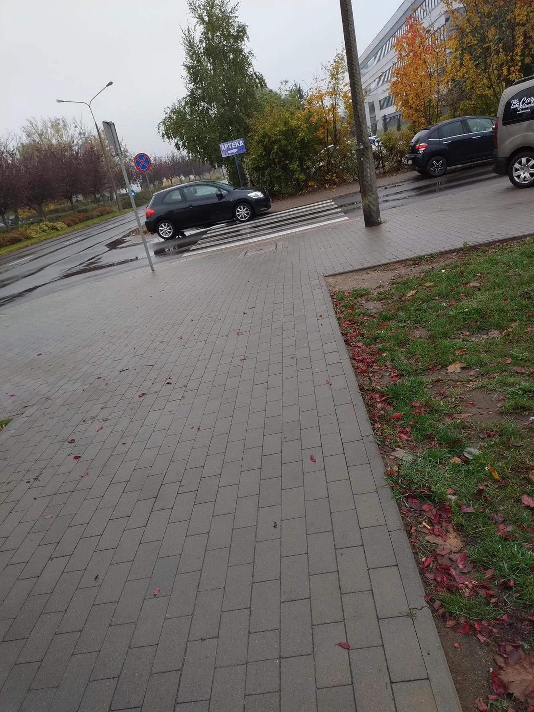 Perfekcyjne parkowanie...