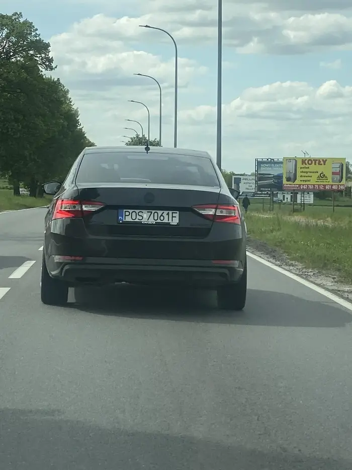 Środkowym palcem pozdrawiam tego bażanta ?