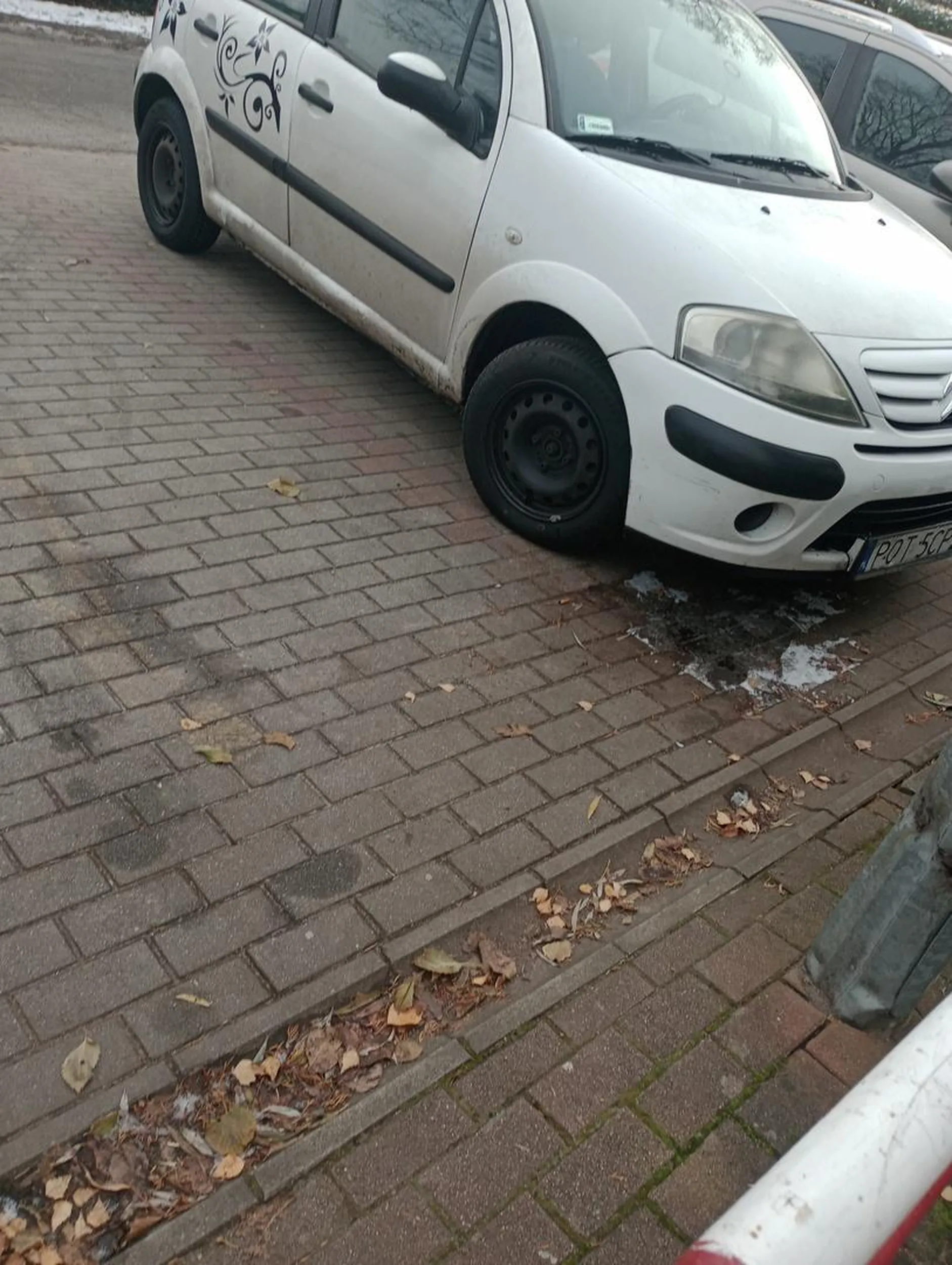 Kierowczynia jest poje**na psychicznie