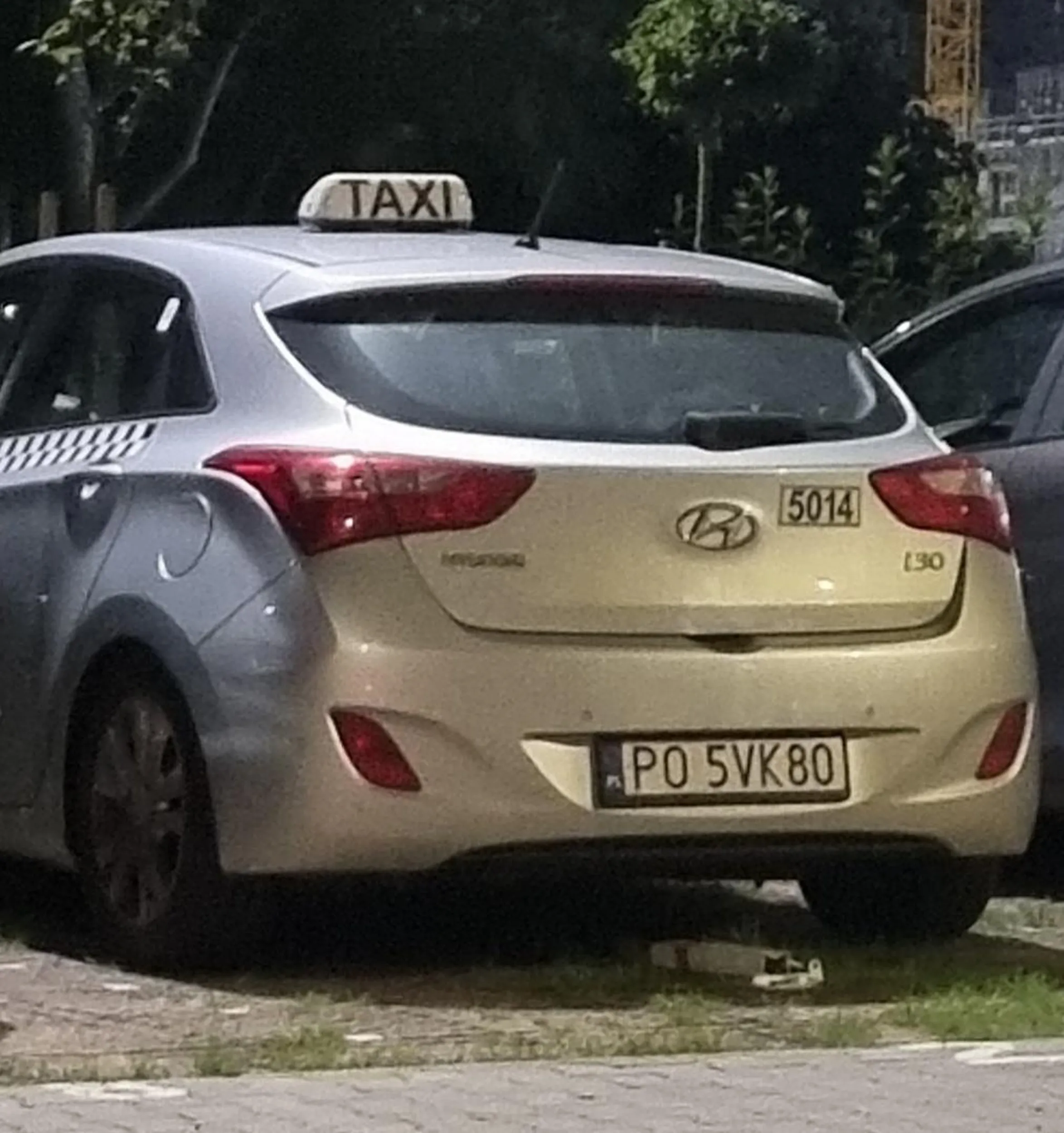 Osiedlowy bandyta, podnosi innym wycieraczki na parkingu, nie szanuje cudzego mienia