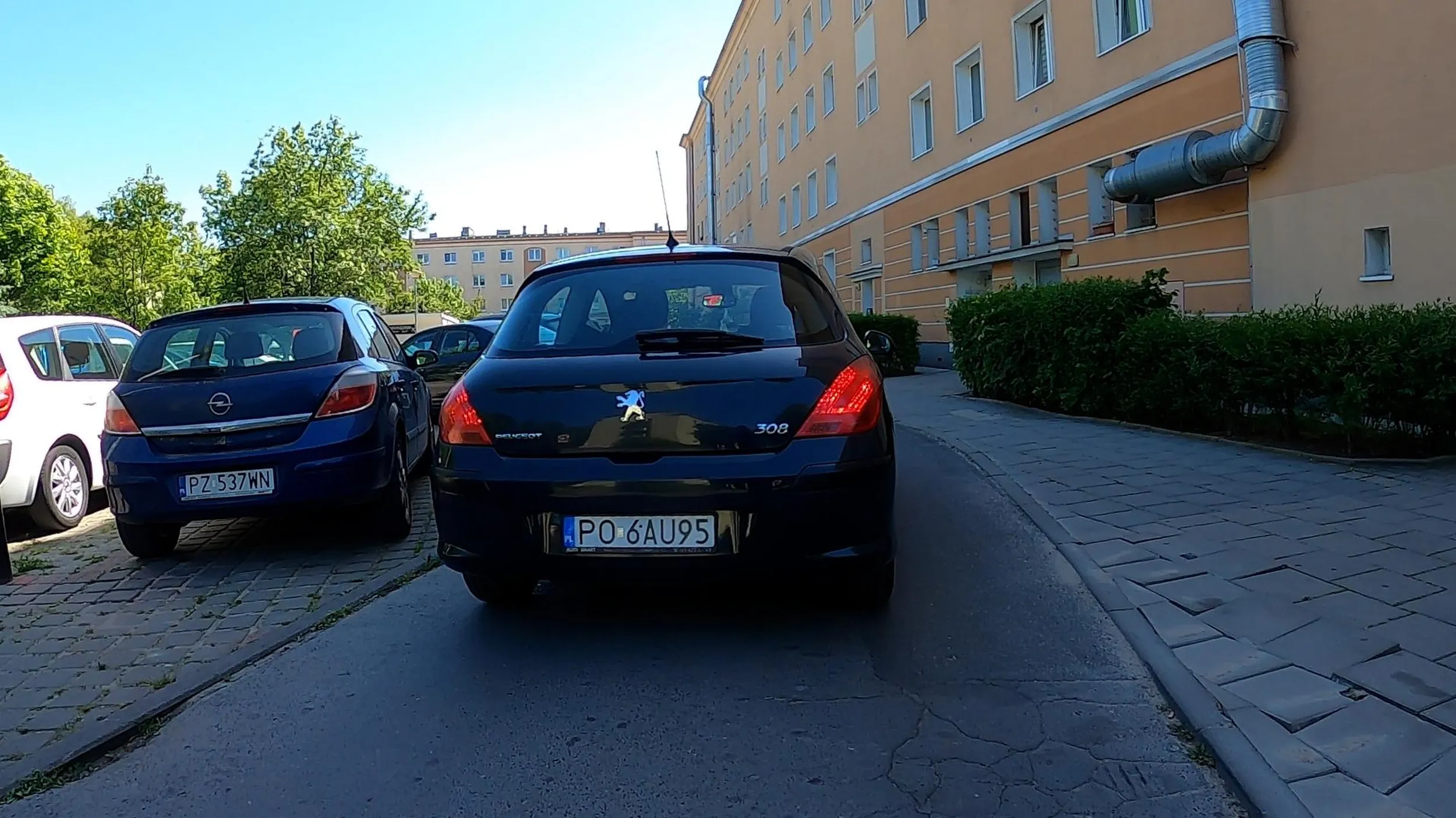 Jadąc rowerem nagle Burak wjeżdża prosto we mnie i jedzie dalej jak by nic się nie stało, dogoniłem gościa na krzyżówce i zwróciłem uwagę to wyskoczył i zaczął mnie szarpać, dopiero jak dostał strzała to uciekł do samochodu. Poznań Dębiec