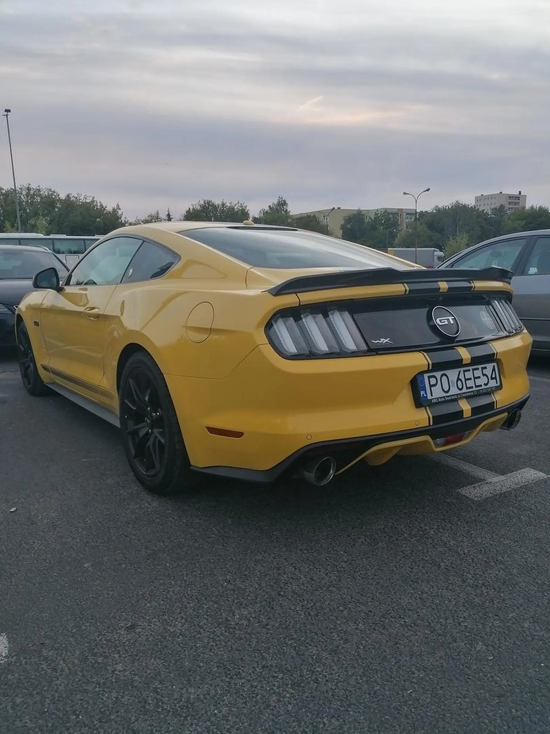 Piękny Mustang?