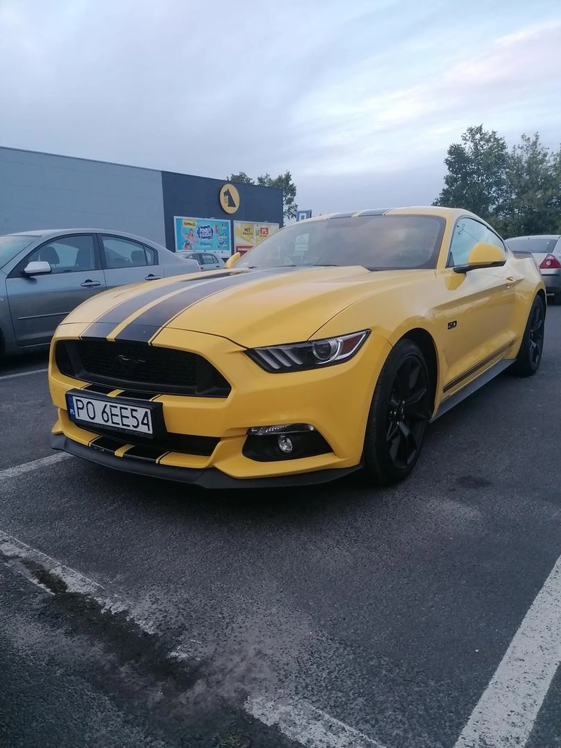 Piękny Mustang?