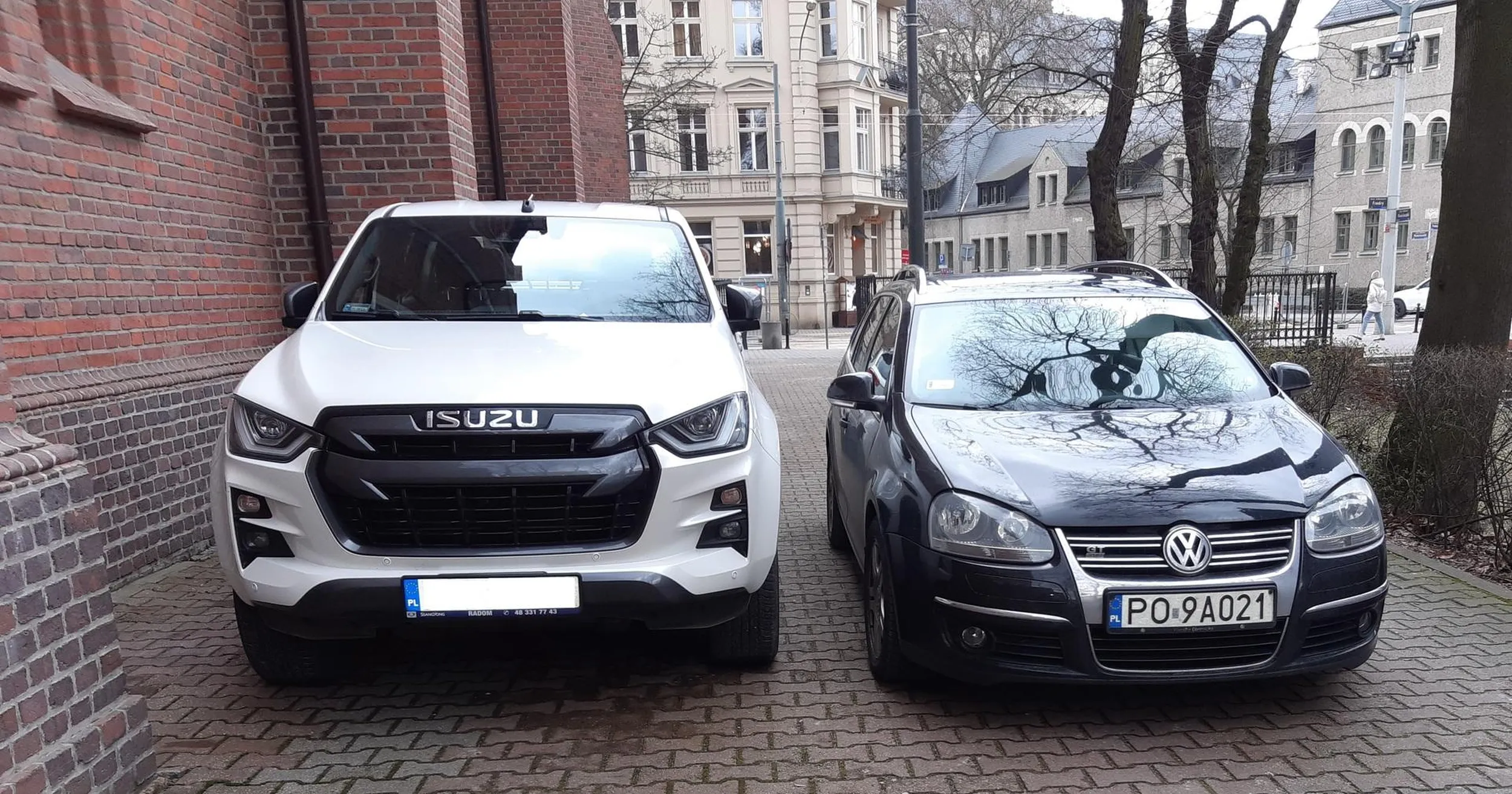 Budyń intelektualny blokuje jedyny wyjazd.