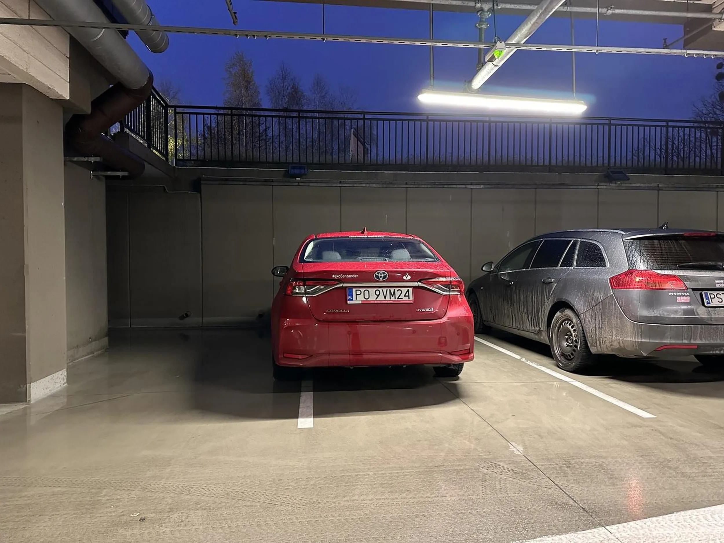 Naucz się parkować bambrze