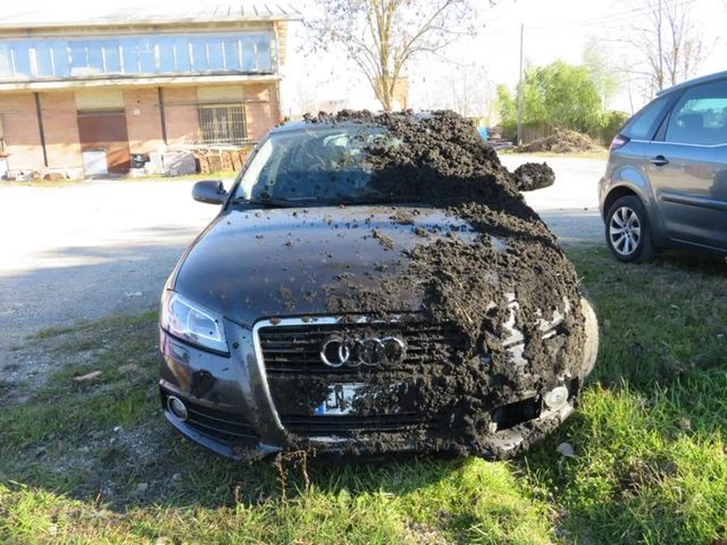 Parkowanie pod stacją kontroli pojazdów na poziomie typowego Prajsownika, okropna naklejka na bagażniku, we wnętrzu samochodu śmierdzi żulem. Kierowca notorycznie łamie przepisy ruchu drogowego, jeżdząc 140km/h przez Brzezie. Prawo jazdy zdawał chyba u jakiegoś bebzoniarza za kilogram cebuli. Dodatkowo, jeżdżąc po mieście, otwiera okno i krzyczy ,,Koham menszczyzn". Nie pozdrawiam.