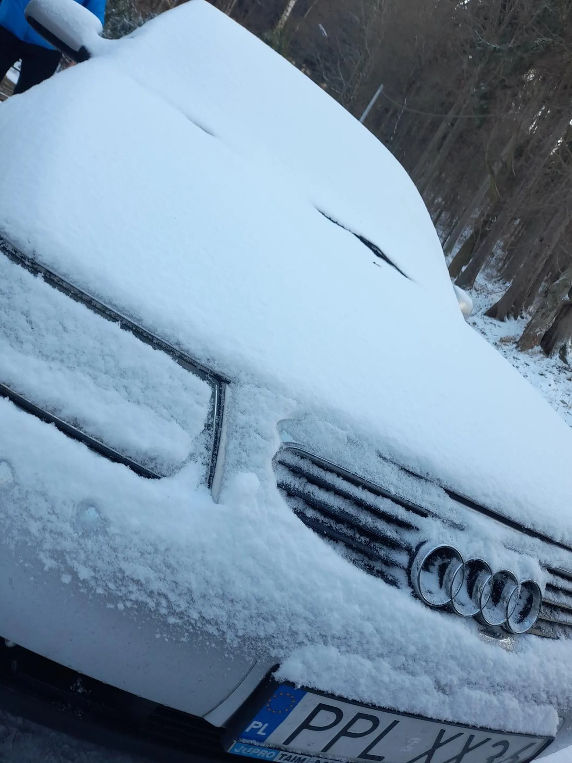 Nawet ładna ta audica