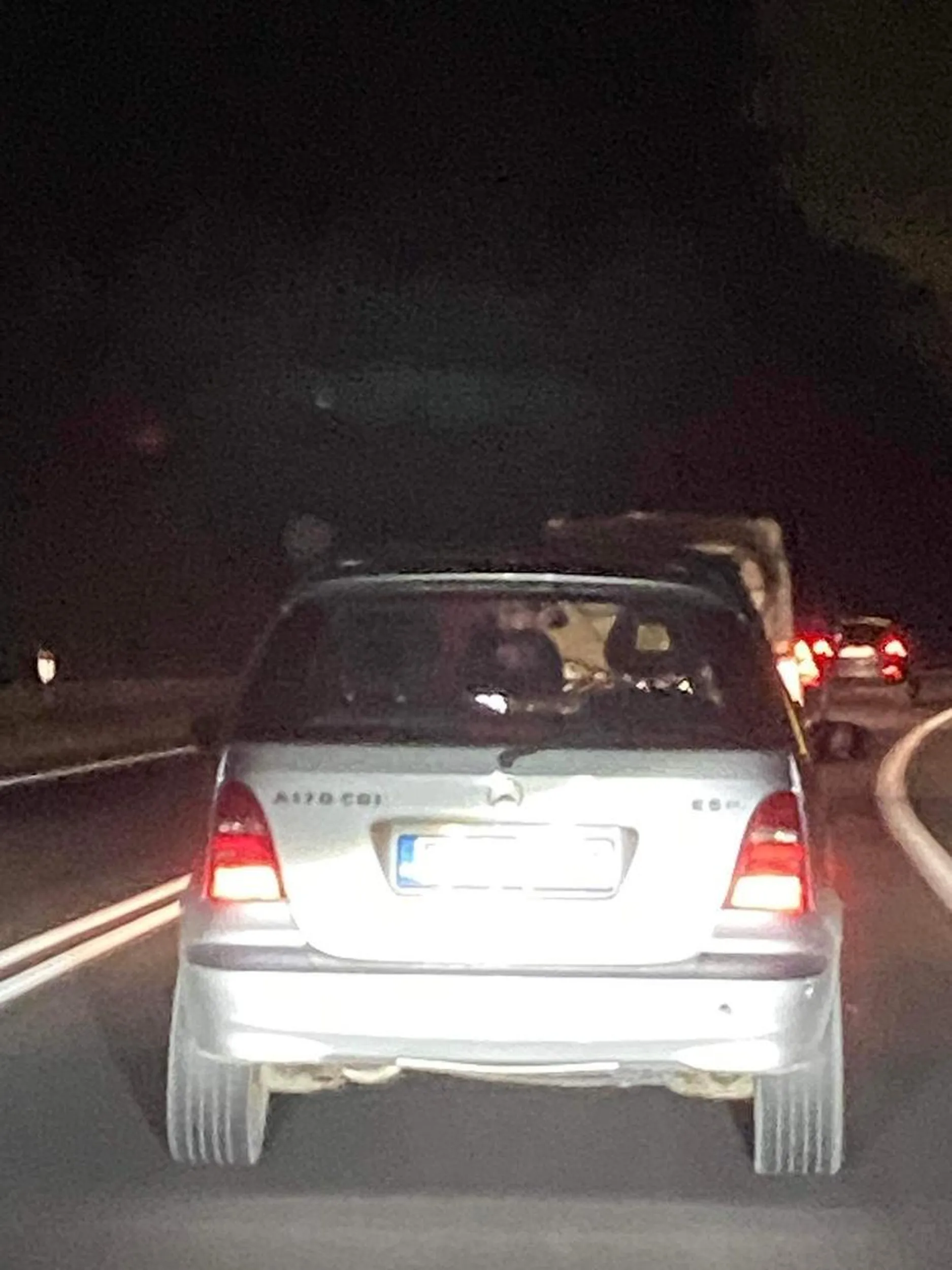 Kierowca całą drogę korzysta ze smartfona trzymając go w ręce.