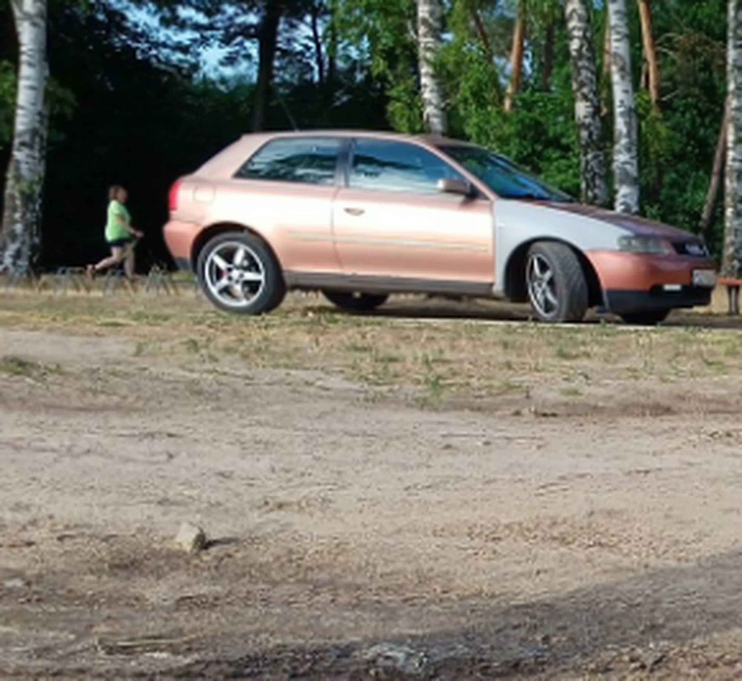 rozjechał babe na psach