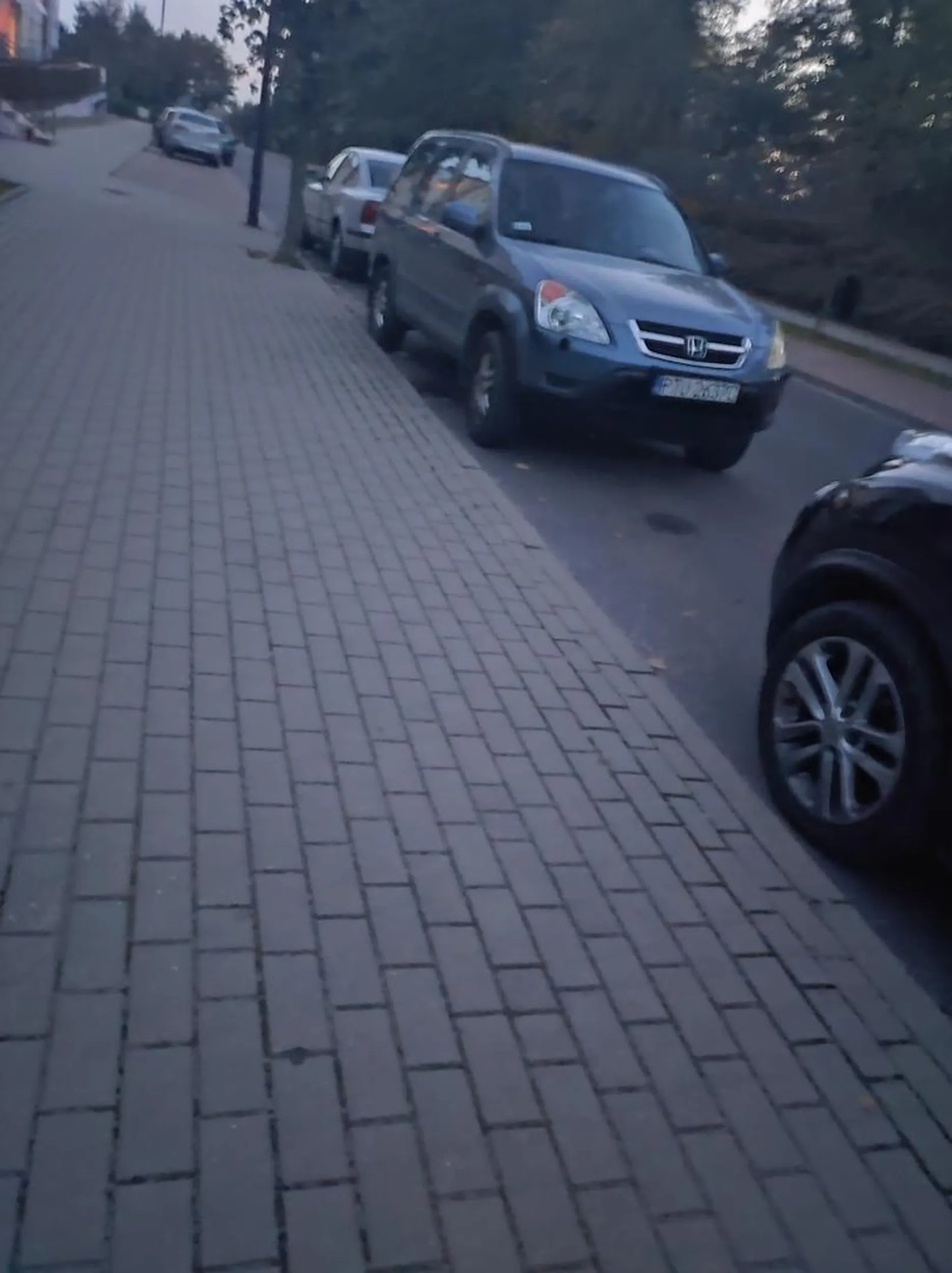 Kierowca tego auta z premedytacją wjechał w drogę jednokierunkowa pod prąd po czym zaparkował. Ale najwidoczniej w Turku i okolicach nie znają się na znakach.