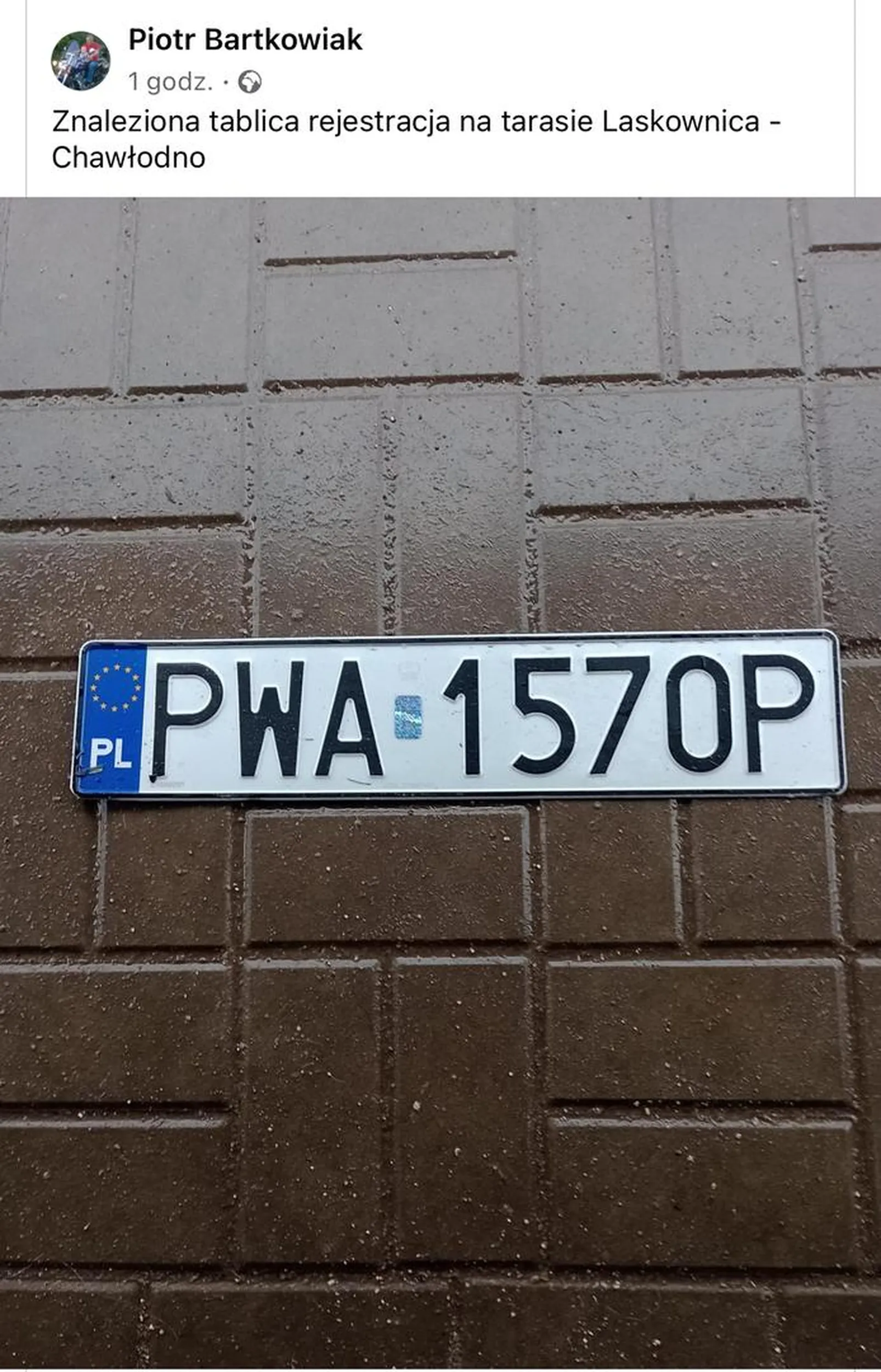 Znaleziono na trasie Chawłodno - Laskownica Wielka gm. Gołańcz