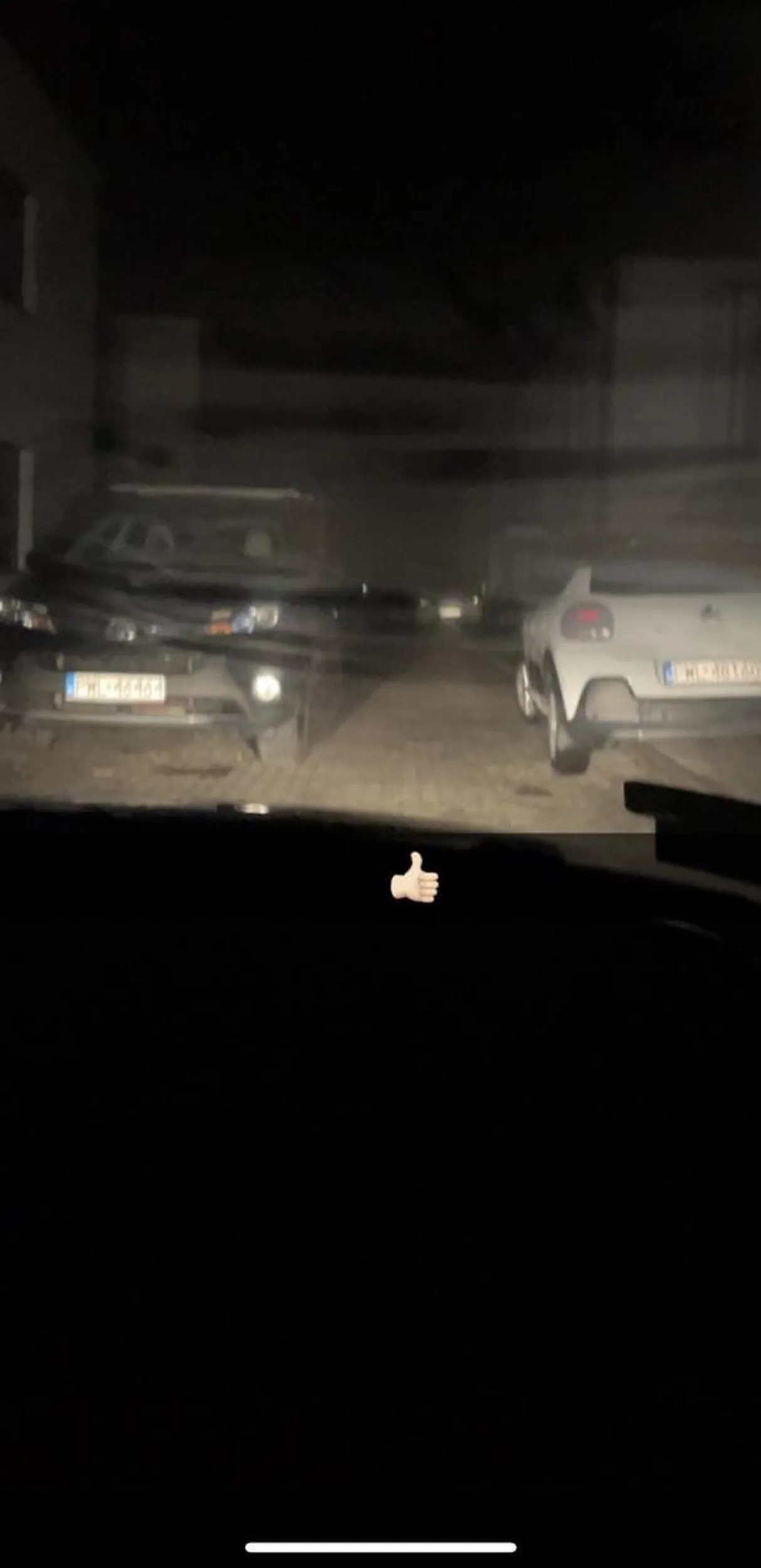 Naucz się parkować cepie