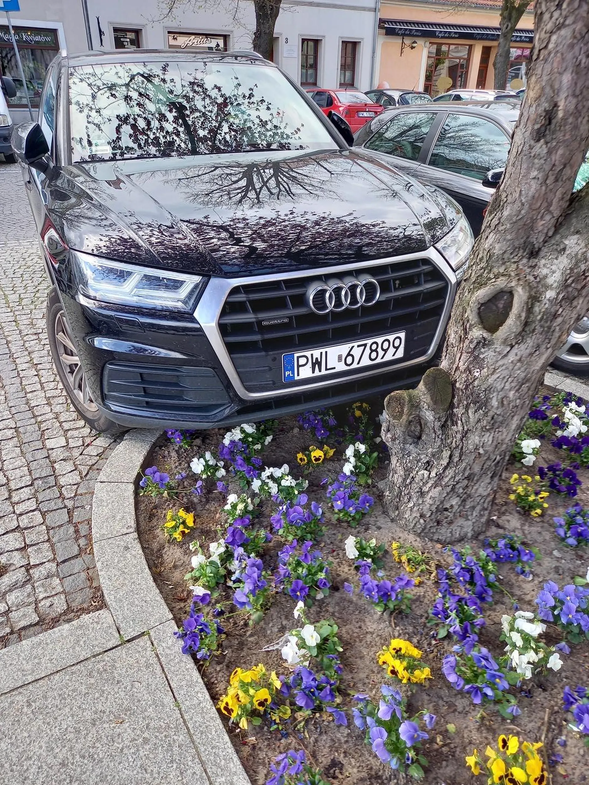 Biedaczek. Gdyby nie to nieszczęsne drzewo mógłby zaparkować tak aby mu tyłeczka ktoś nie zarysował na drodze. I przy okazji te chwasty pod pod silnikiem były usunięte w miejsce jakże wspaniałego nowoczesnego betonu.