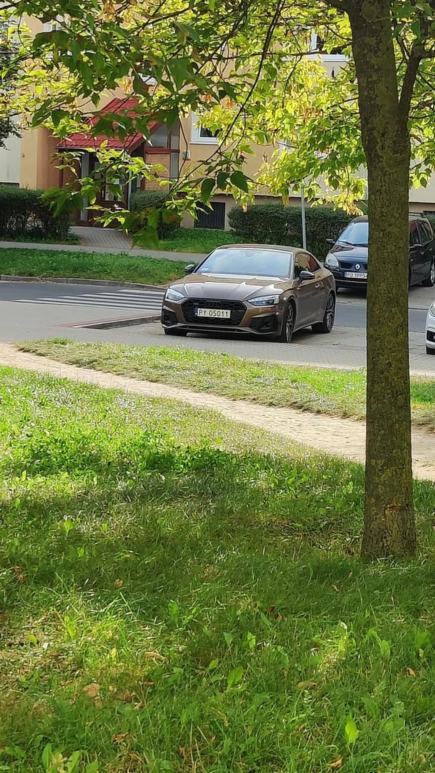 Typiara nie potrafi parkować swoim sraczkowatym audi