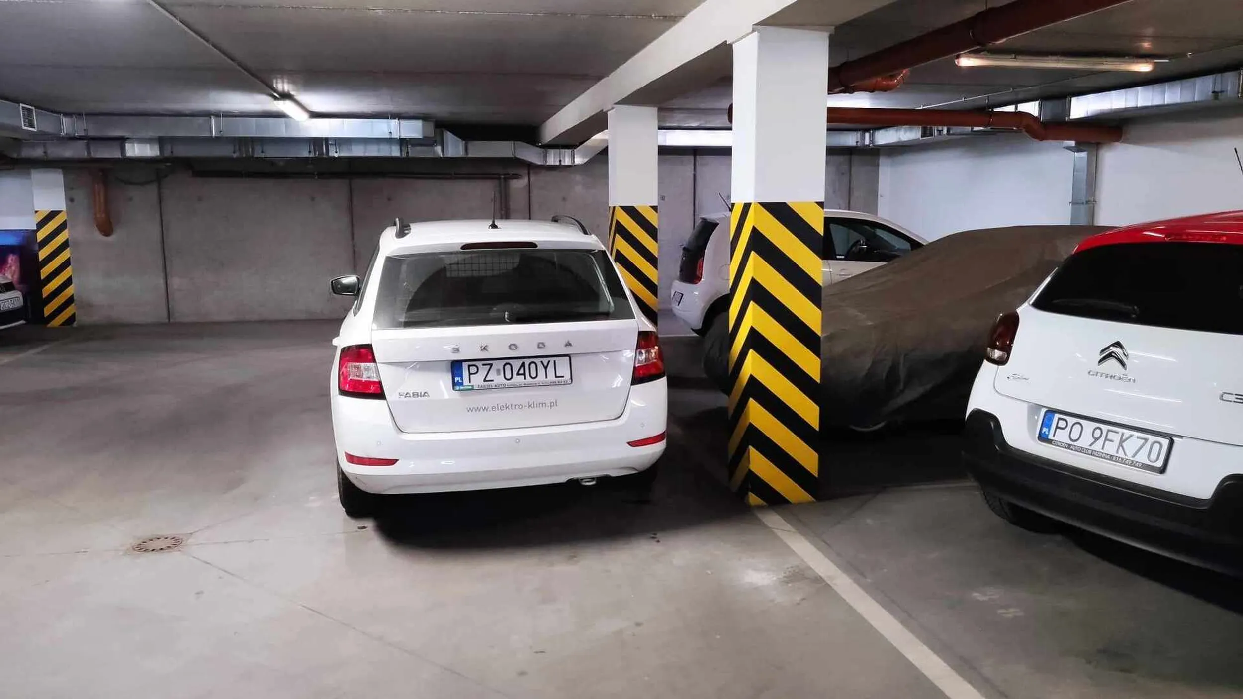 Człowiek średnio-rozumny, jednokomórkowy. Regularnie zastawia przeciwległe miejsca parkingowe utrudniając wyjazd i wjazd. Przy konfrontacji twarzą w twarz uparcie twierdzi, że mu się to należy, bo miejsca obok, których stawia auto należą do niego.