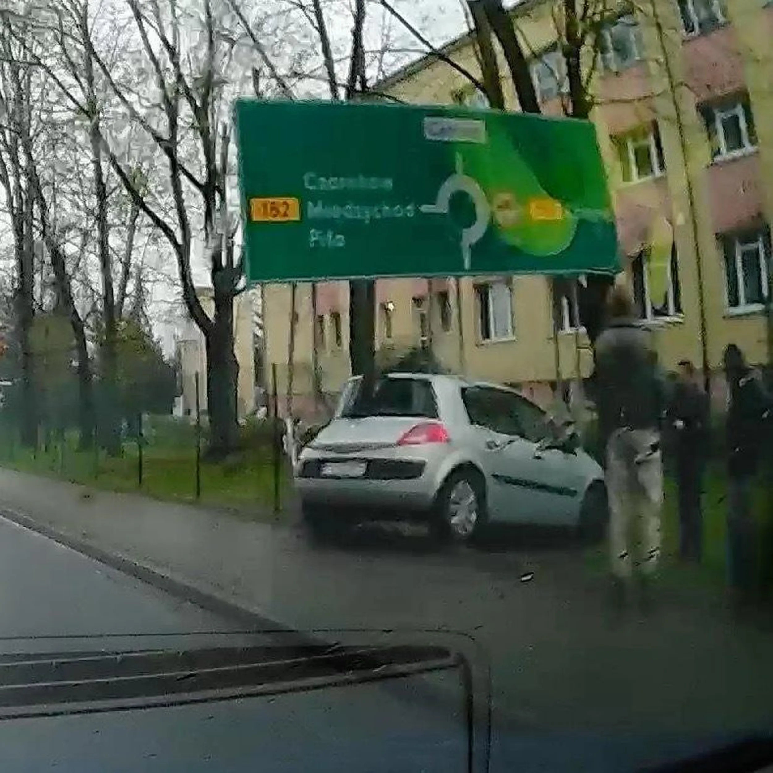 Nie opanowała zakrętu, piękne futerko krowy na kierownicy