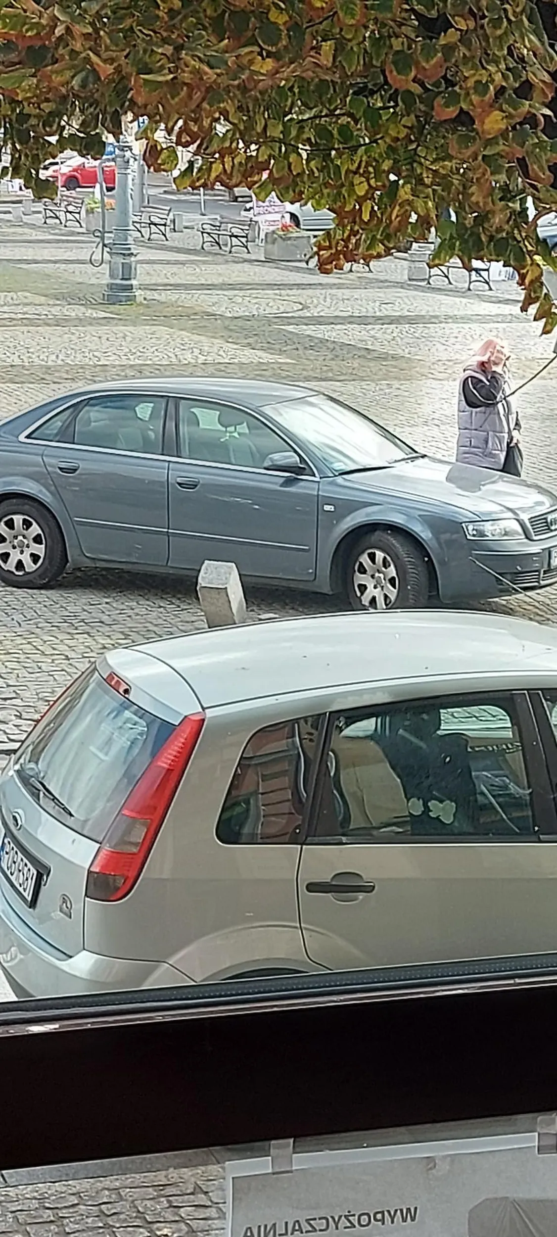 Co za tępe babsko, narpierw pojechała pod prąd, później zaczęła wycofywać i prawie uderzyła w moje zaparkowane auto. Później zawróciła na płycie Rynku i uderzyła w słupek betonowy, oddaj prawo jazdy stara ruro jak nie umiesz jeździć!