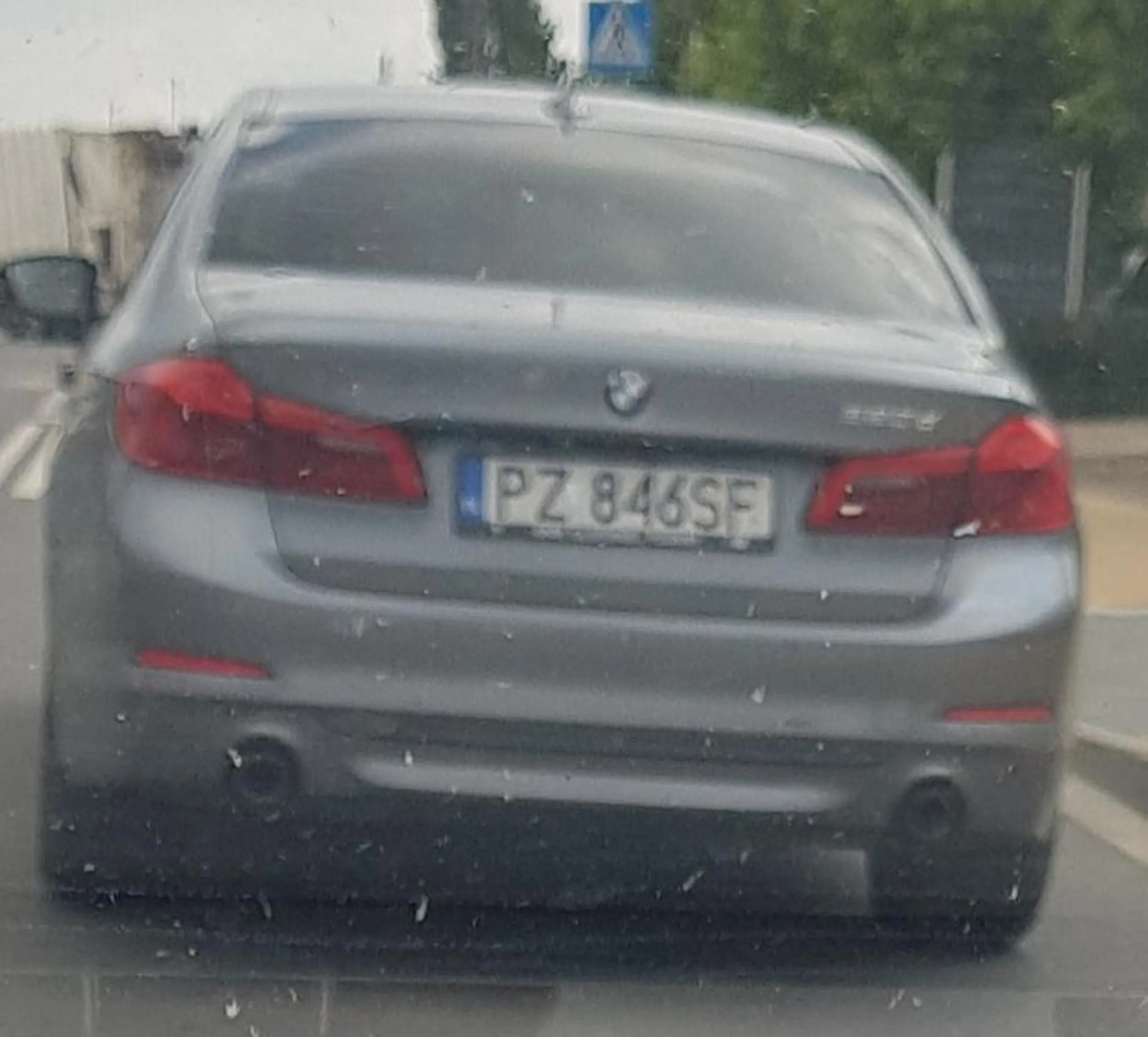 Baran z Plewiska. "pan" ulicy.