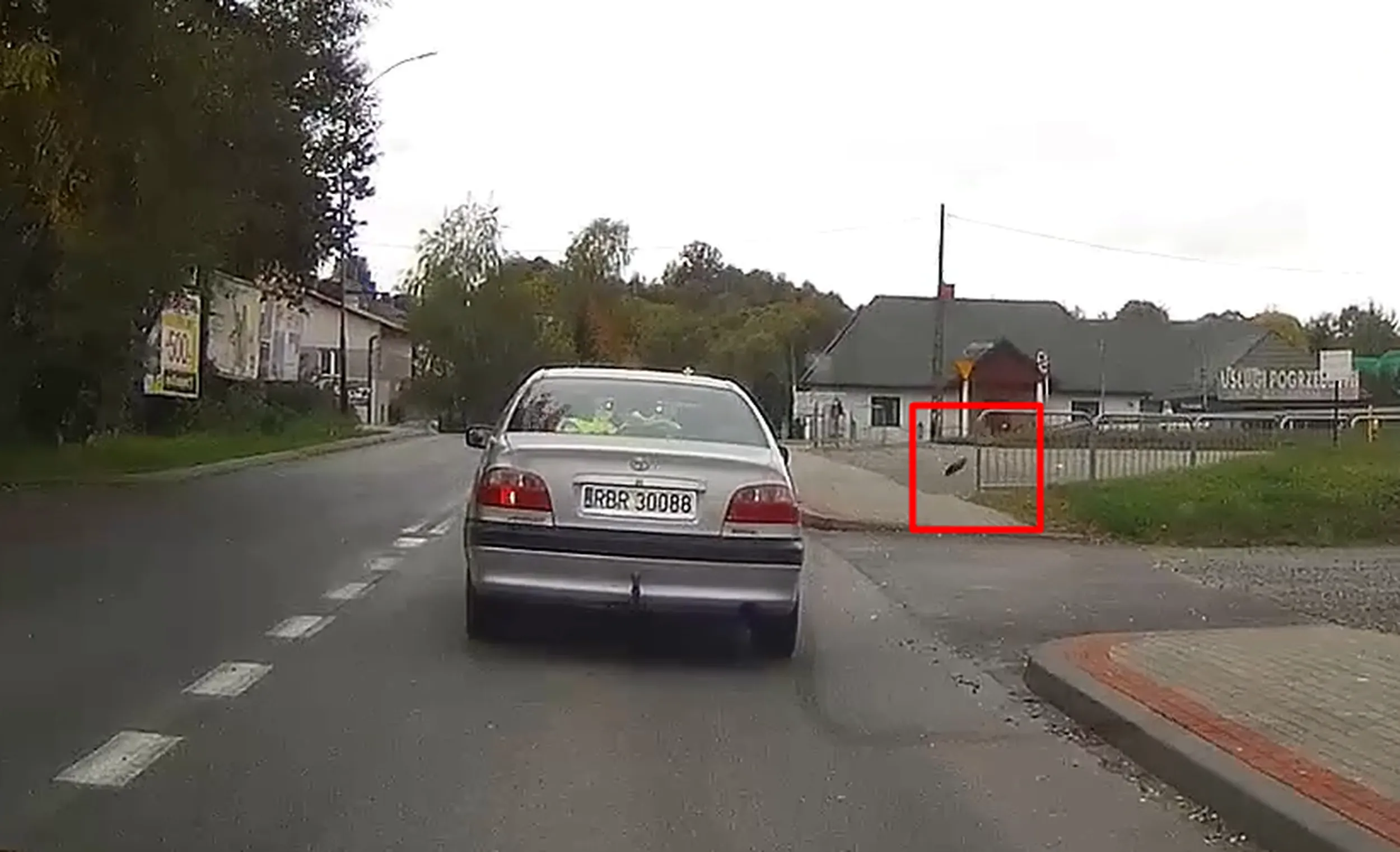 Wyrzuca śmieci z auta