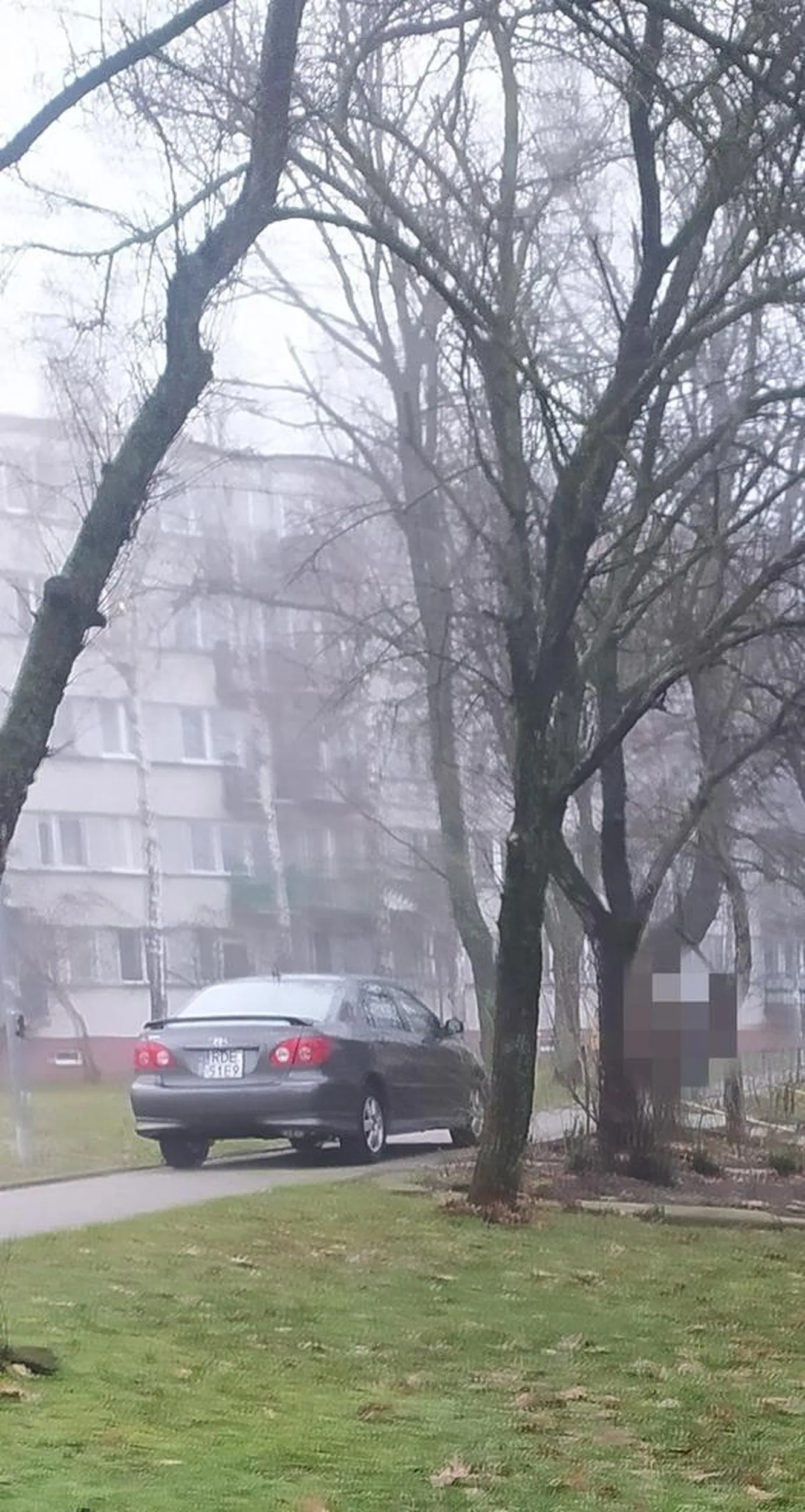 Przepięknie zaparkowany samochód tylko pozazdrościć inteligencji