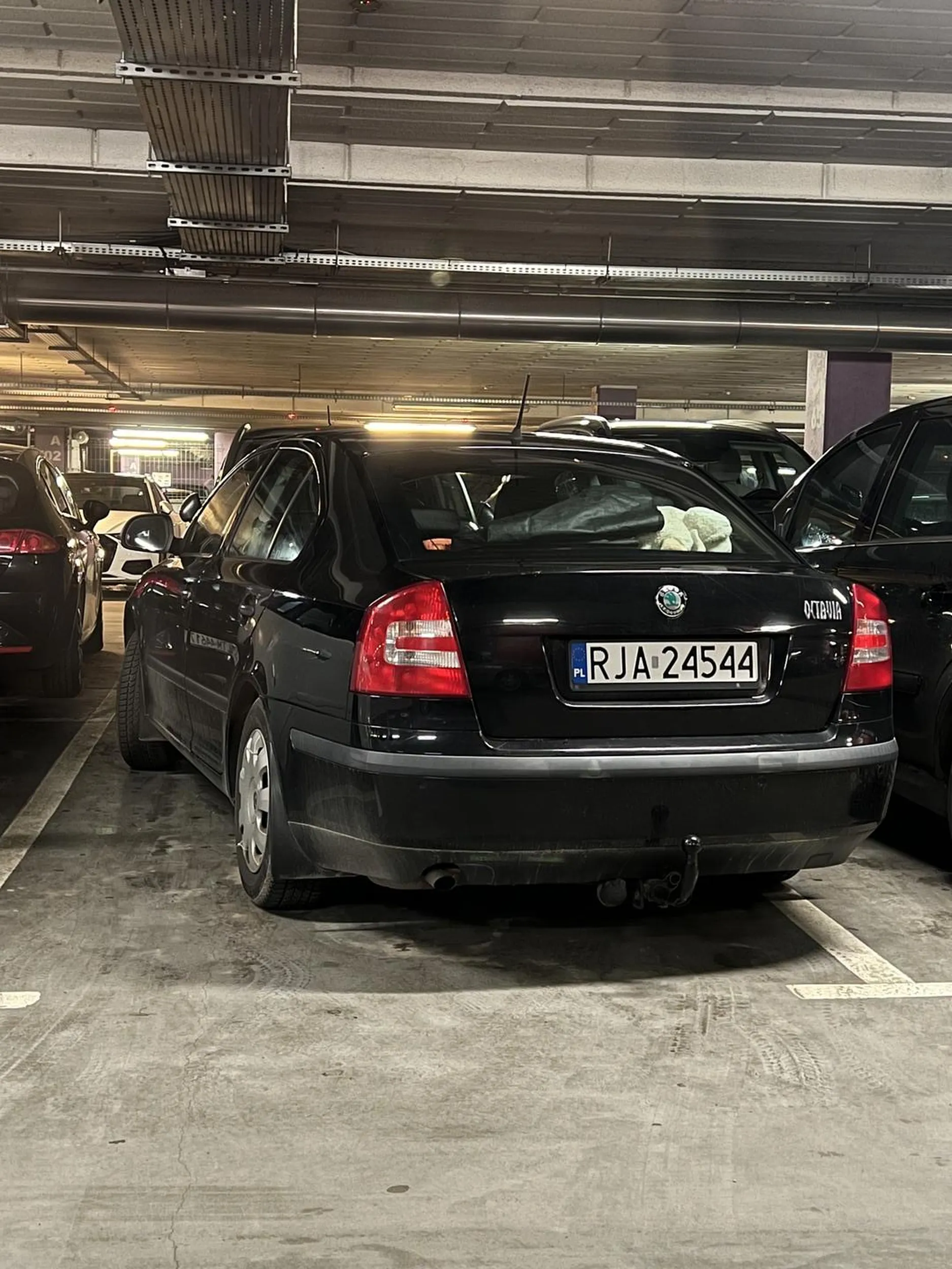 Mistrz parkowania - Millenium Hall Rzeszów