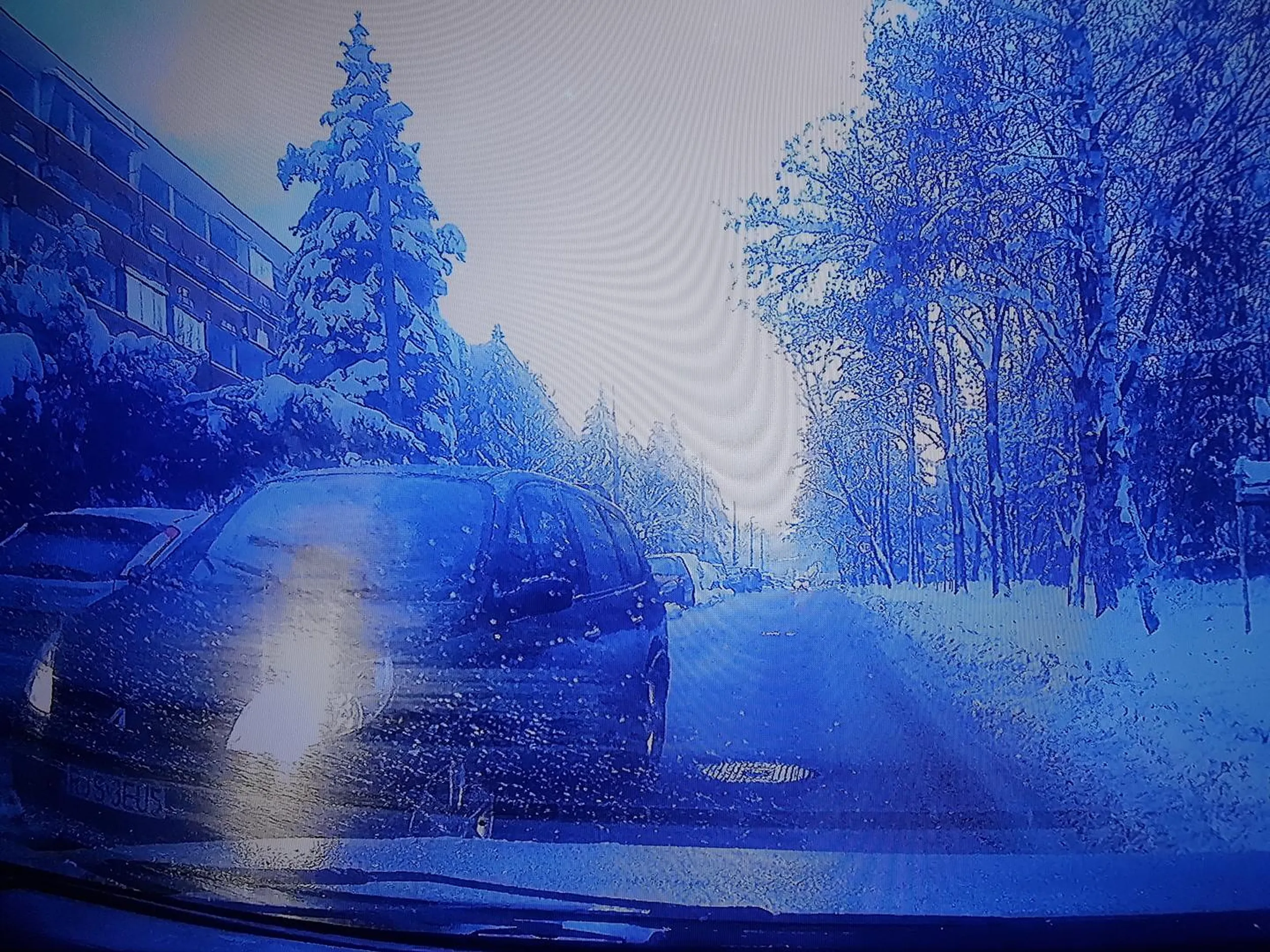 Nie masz pierwszeństwa, ryjesz się na chama i jeszcze masz pretensje głupia babo z zadupia...