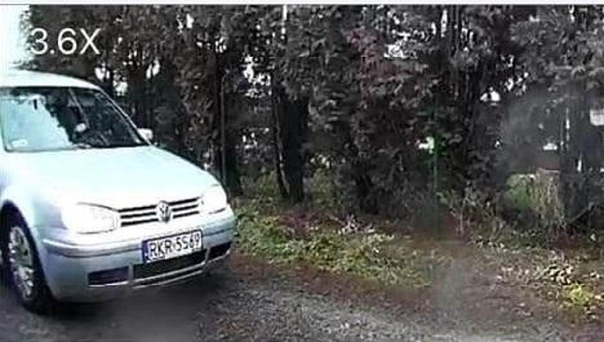 Jeżdżą w okolicach Pszczyny srebrnym Golfem IV, dzwonią na dzwonki do domów i sprawdzają czy ktoś jest w domu. Życzę im, by w pierdlu zrobili im z dupy jesień średniowiecza.