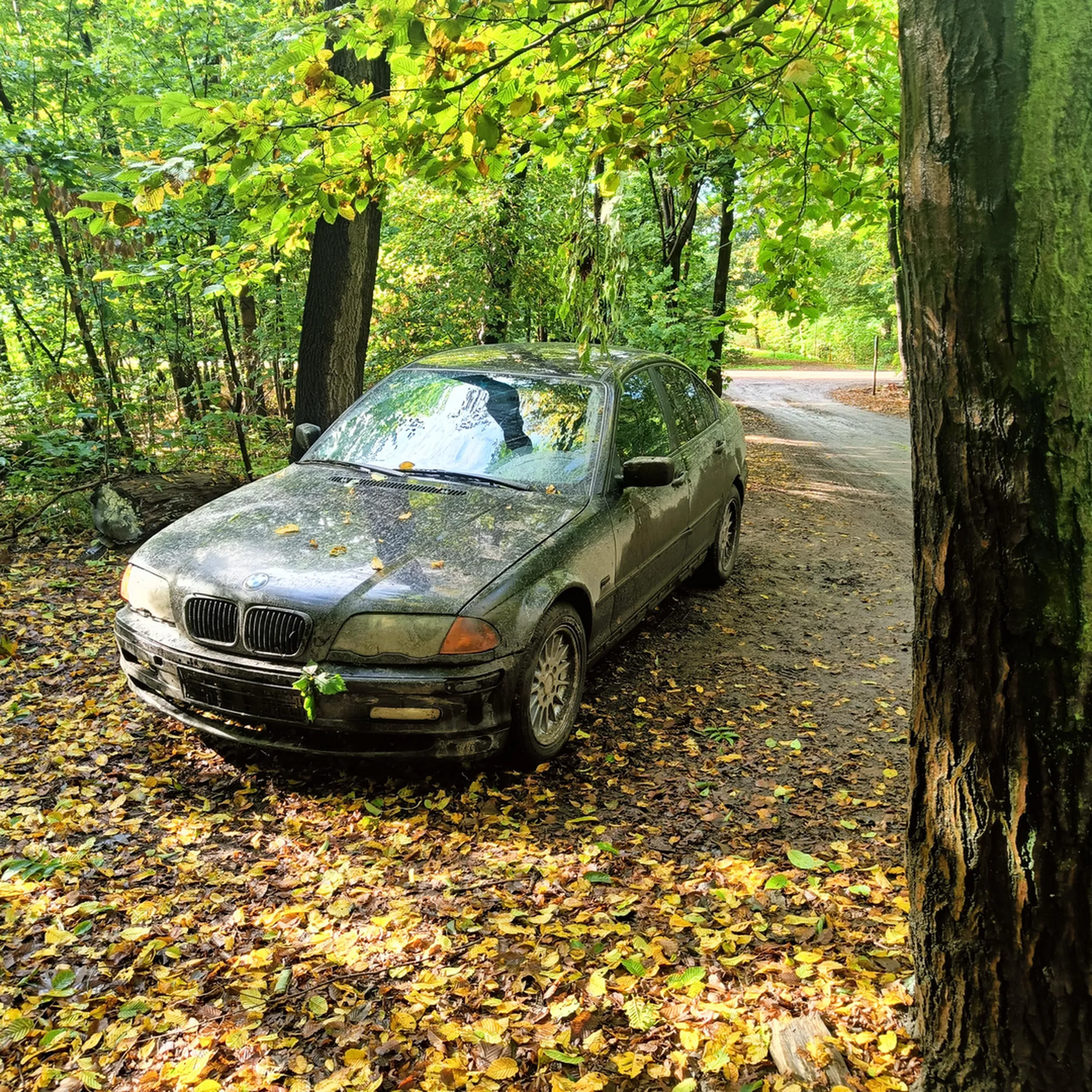 Porzucone auto w lesie