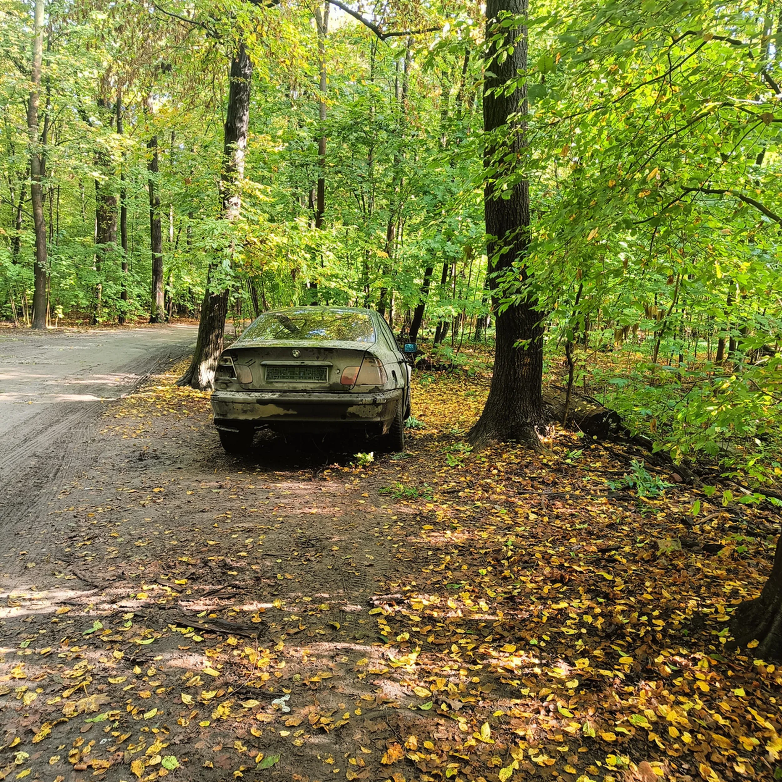 Porzucone auto w lesie