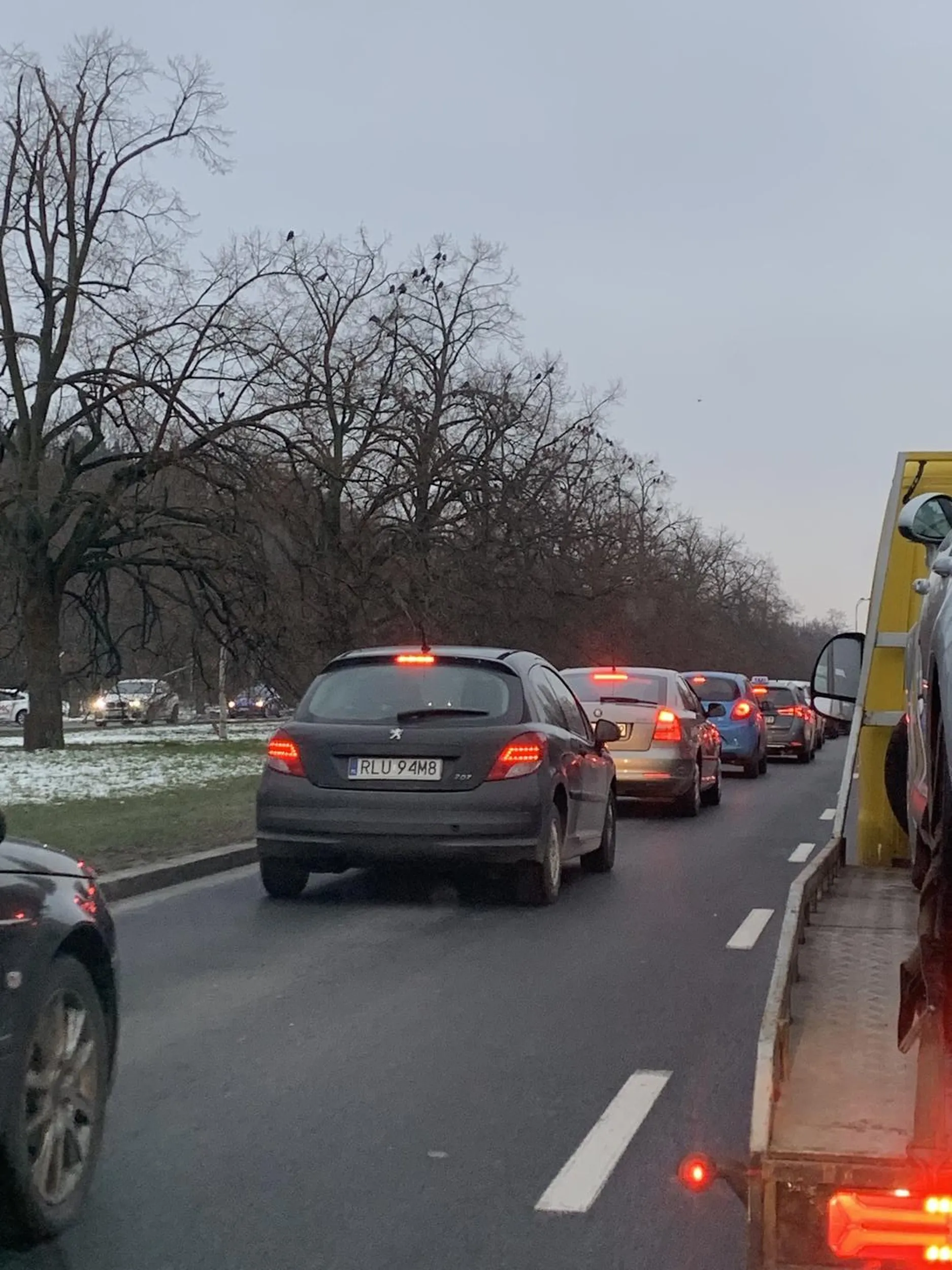 Tylko 3 światło stopu Ci działa..