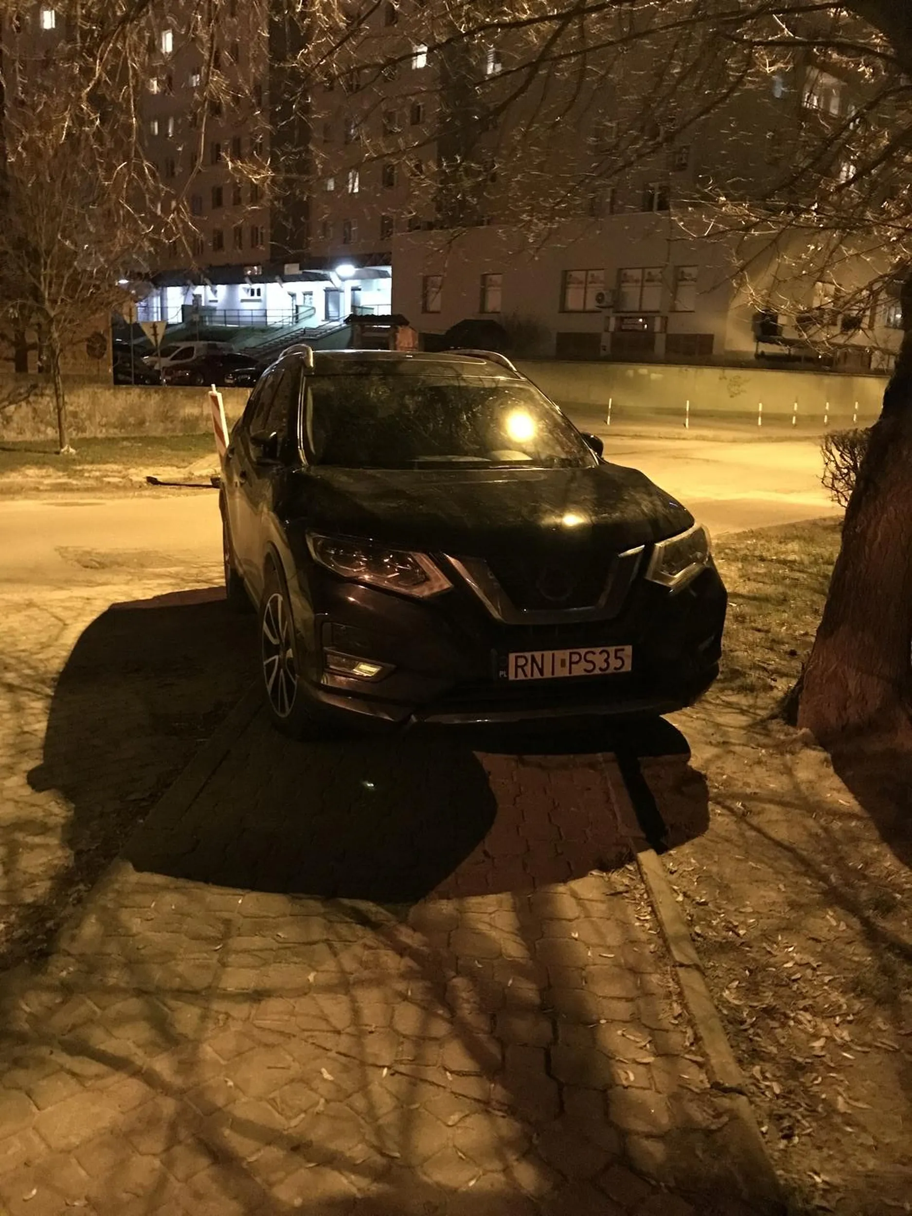 RNI- rażąco niska inteligencja