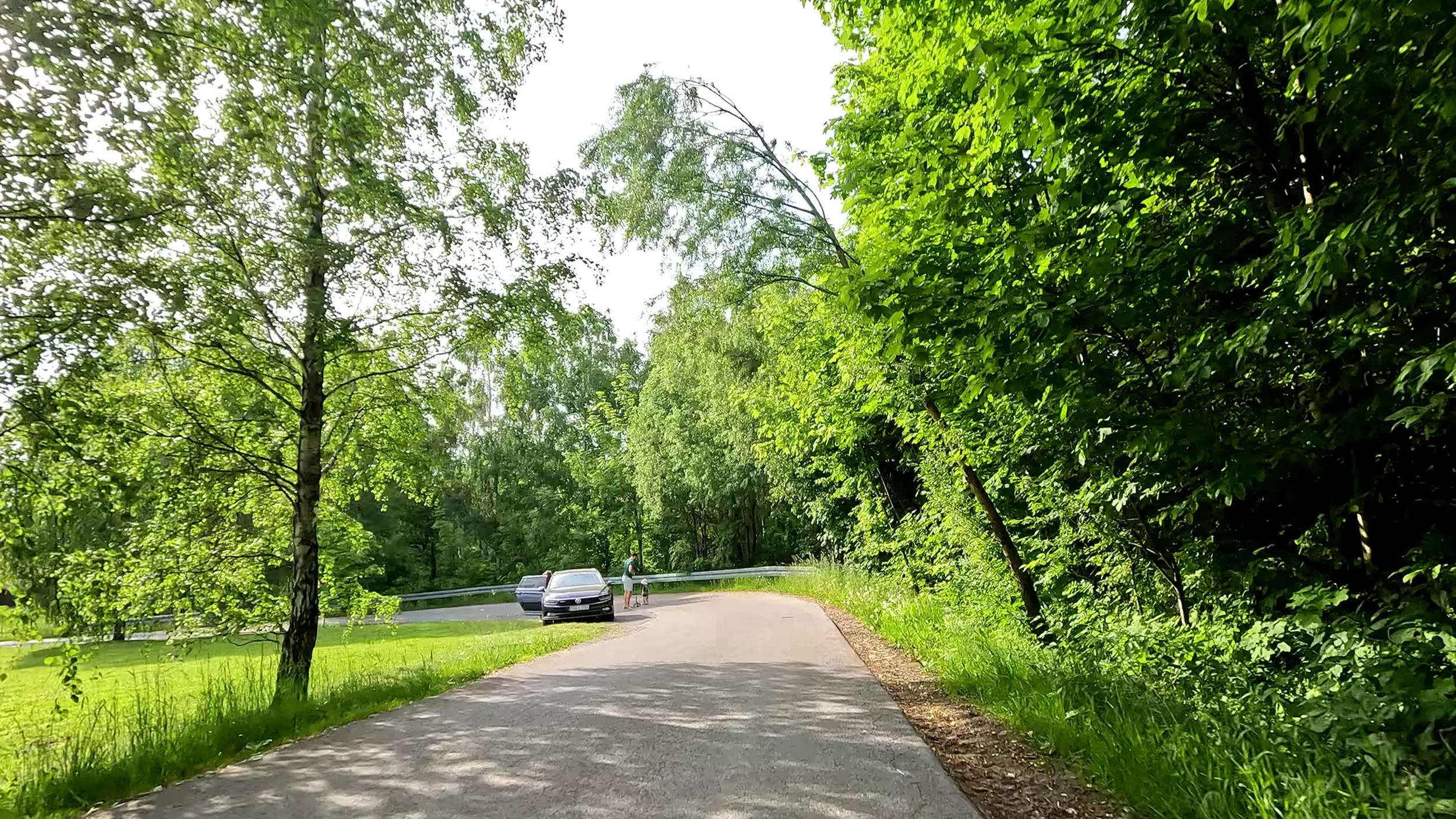 Rzeszów, ulica Rodzinna. Niebywała bezmyślność tej rodzinki, aby na zakręcie, na wąskiej drodze, która mocno opada wykładać się z bombelkiem i spacerować sobie. Przecież tam ruch jest całkiem spory a do tego nie taki powolny. Totalny brak mózgu imo.