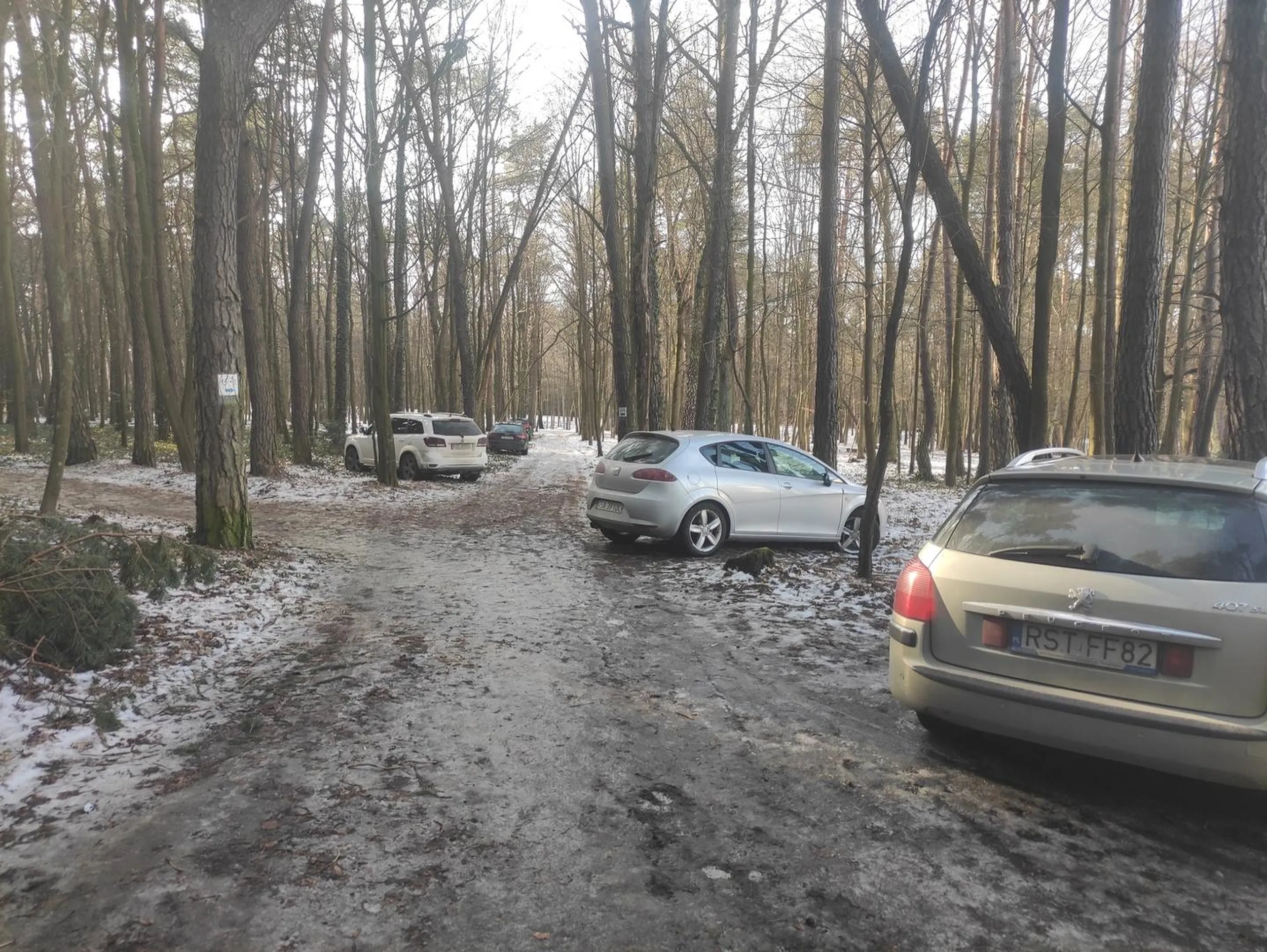 Na najbliższym parkingu nie było miejsca, a mały spacerek z innego najwyraźniej okazał się być ujmą na honorze dla bohatera powyższego zdjęcia, więc postanowił wjechać na leśną alejkę i rozjechać trochę zieleni... Wiocha nie tylko na tablicy, ale przede wszystkim w ciasnej główce.