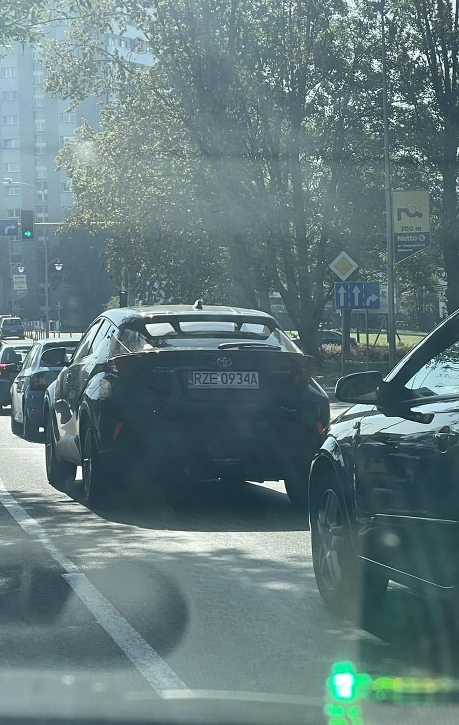 Pani za kierownicą nie panuje nad sobą i swoimi emocjami. Trąbi, poprzez miganie światłami próbuje wymusić na innych kierowcach zmianę pasa, a także wszczyna awantury, zrównuje się z innymi kierowcami na dwupasmowej drodze, wykrzykując coś. Swoim zachowaniem powoduje zagrożenie. Brak kultury.